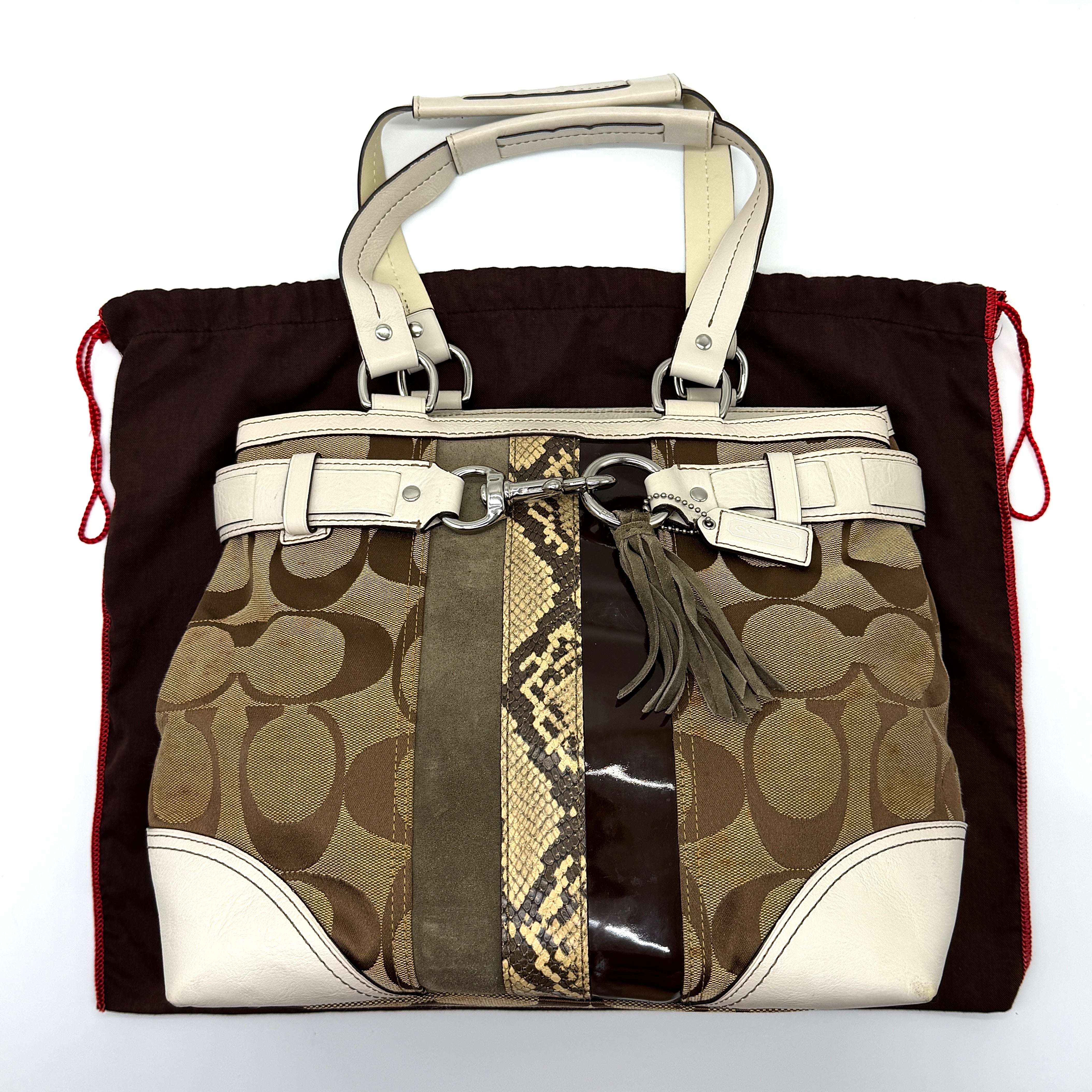 Coach Signature Python Stripe Shoulder Bag Multi