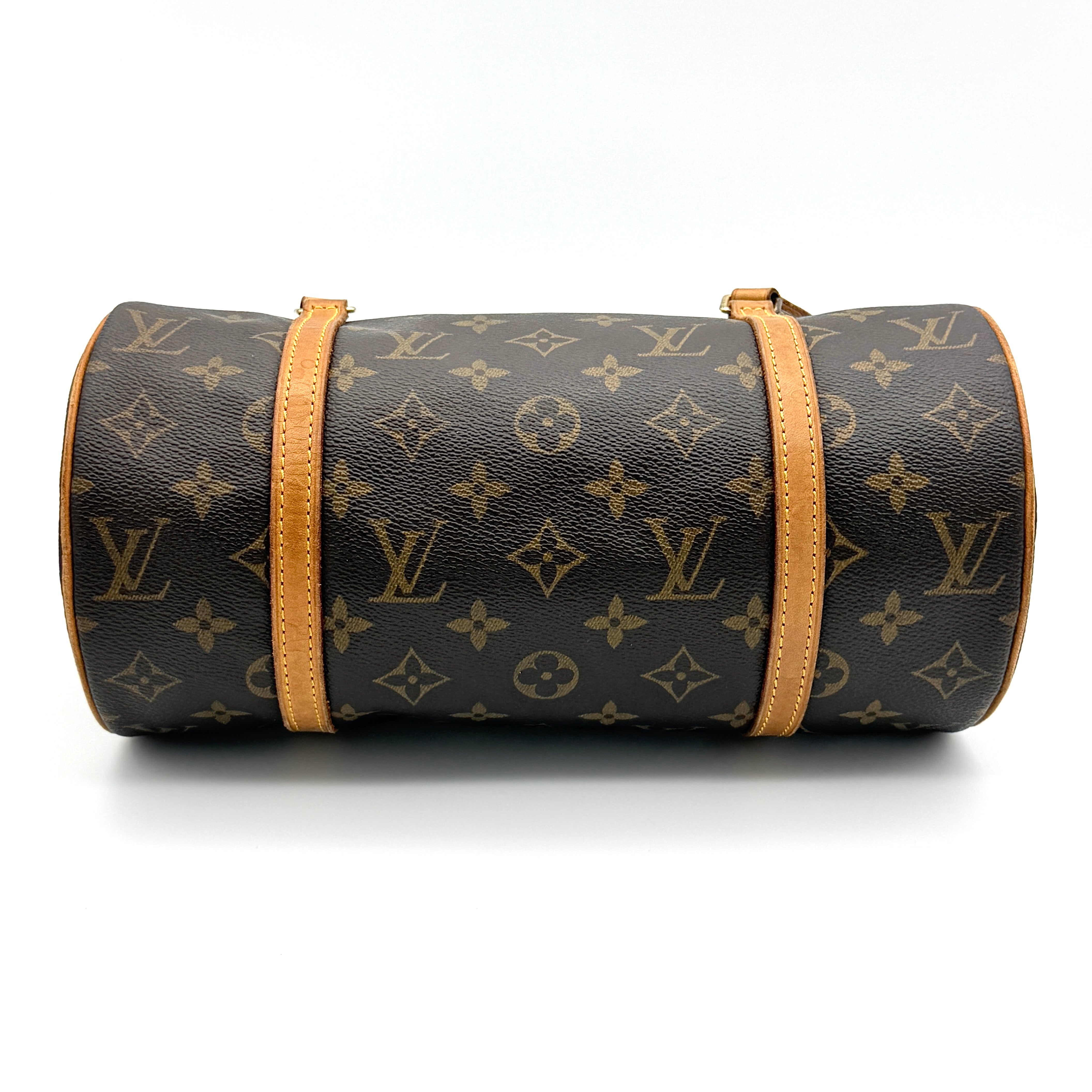 Louis Vuitton Papillon 26 in Monogram canvas with brown leather trim and gold-tone zip, shown against a white background.