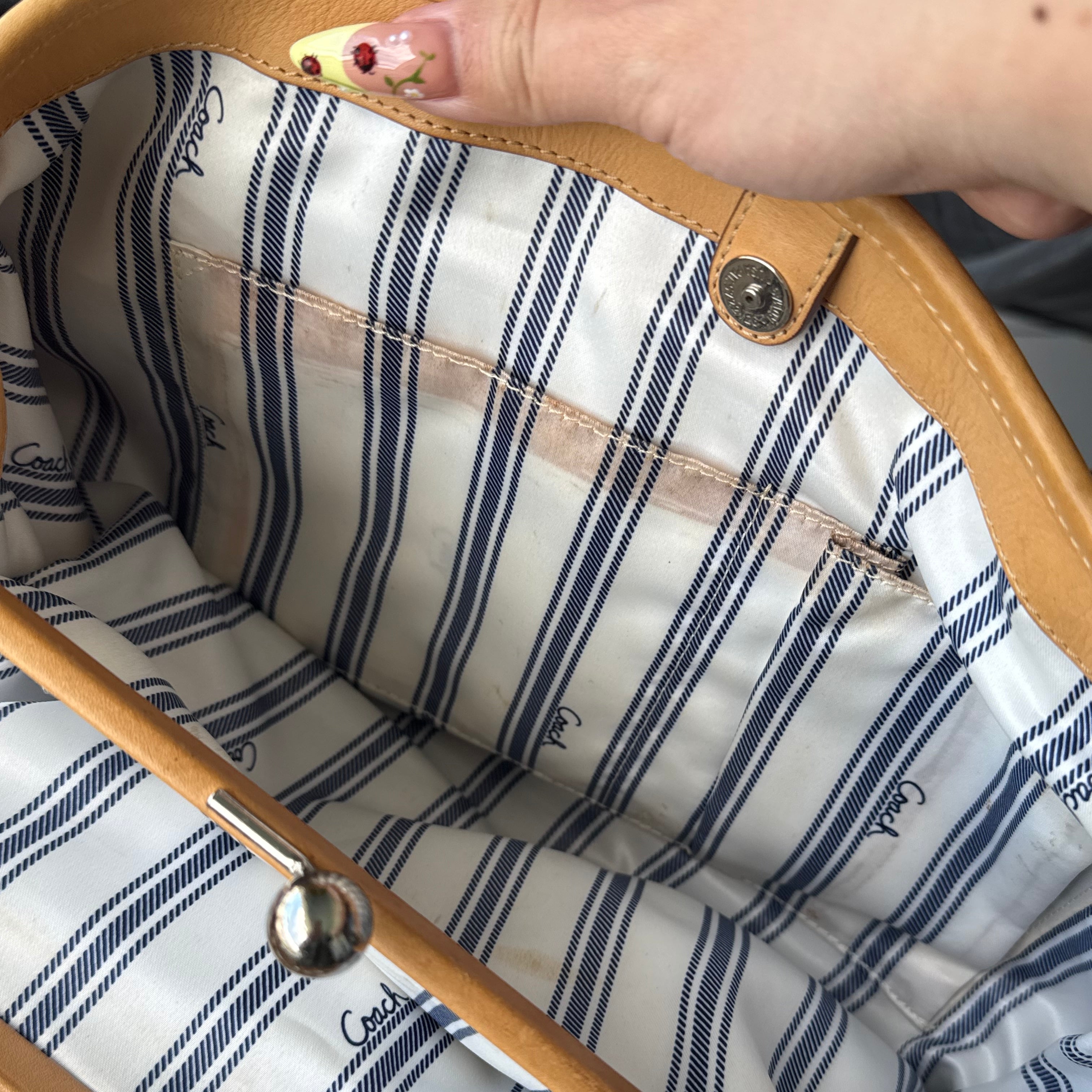 Coach Hamptons Avenue Tote Bag Pink/Beige