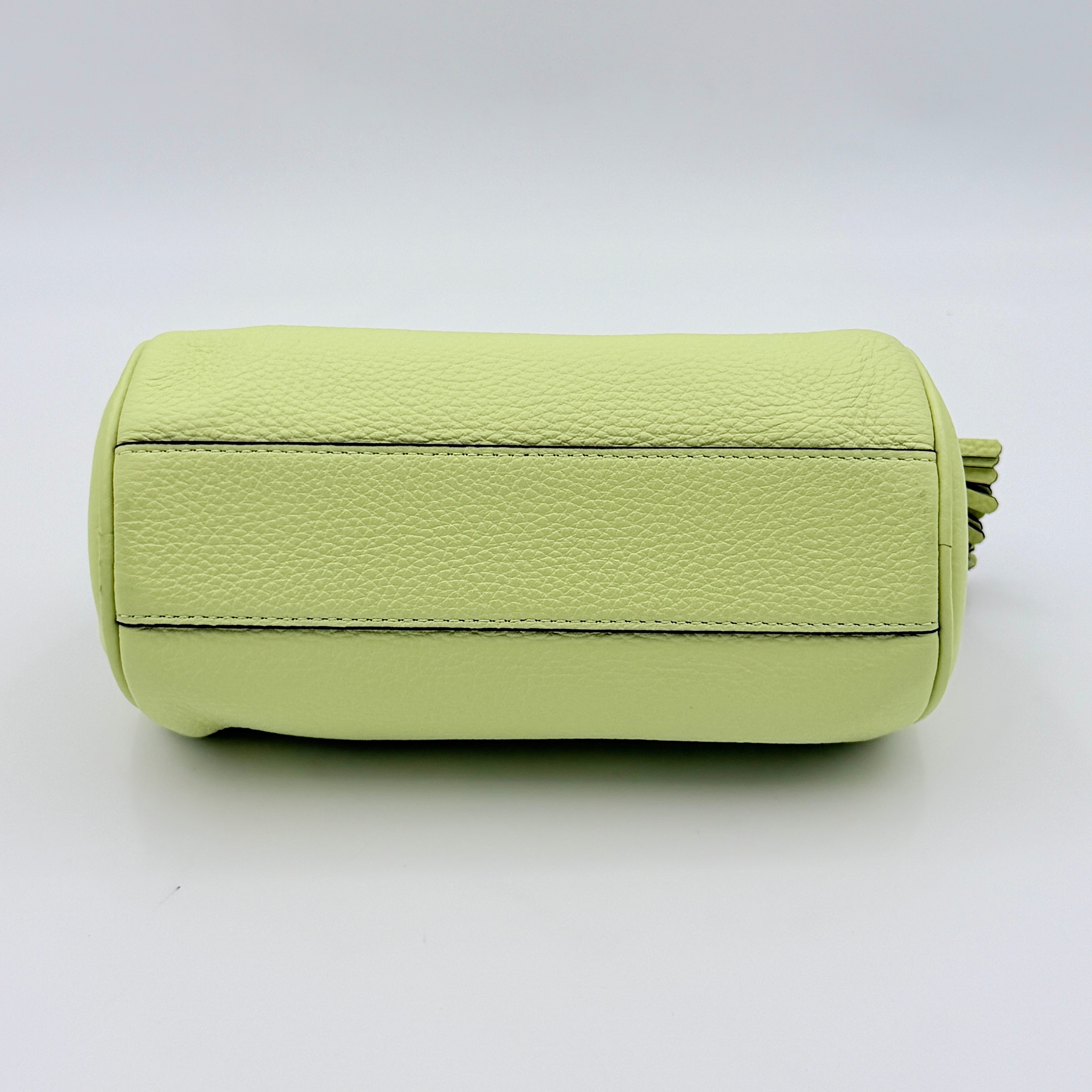 Coach 2Way Lacey Mini Boston Bag in light green pebbled leather with tassels and a detachable strap, shown against a plain background.