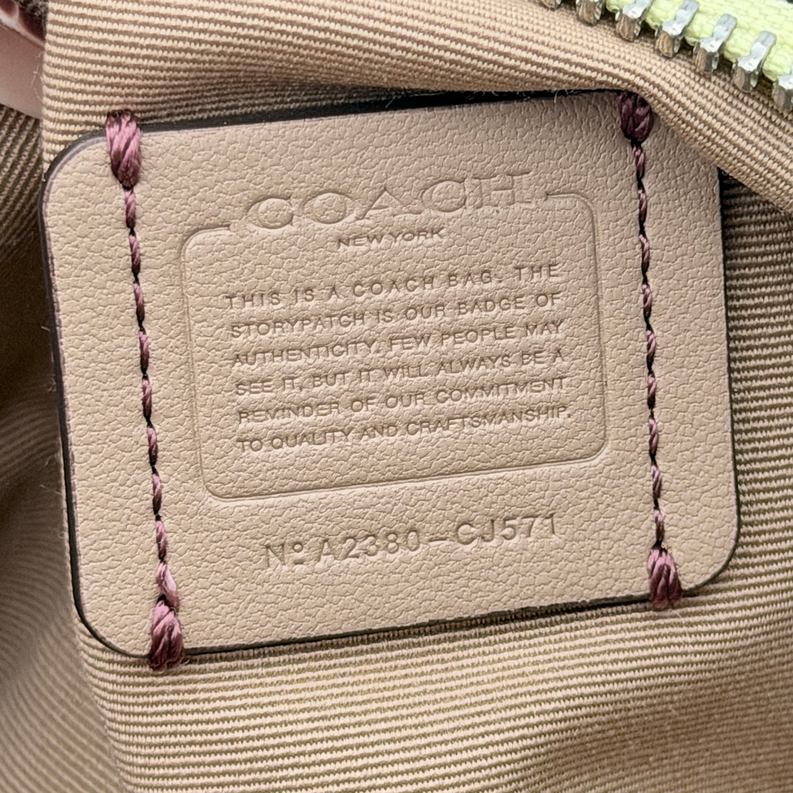 Coach 2Way Lacey Mini Boston Bag in light green pebbled leather with tassels and a detachable strap, shown against a plain background.