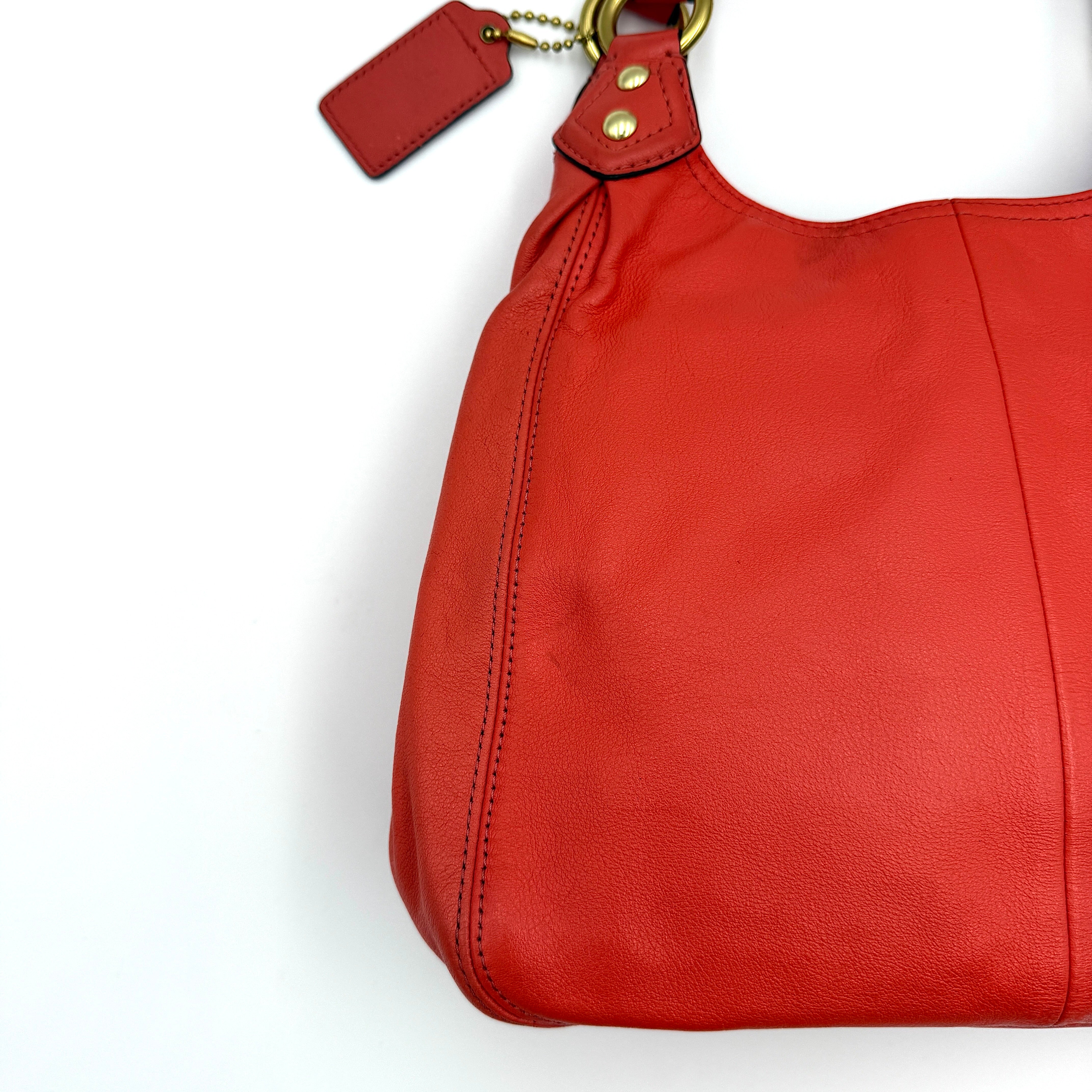 Coach Ashley Hobo Shoulder Bag Burnt Orange