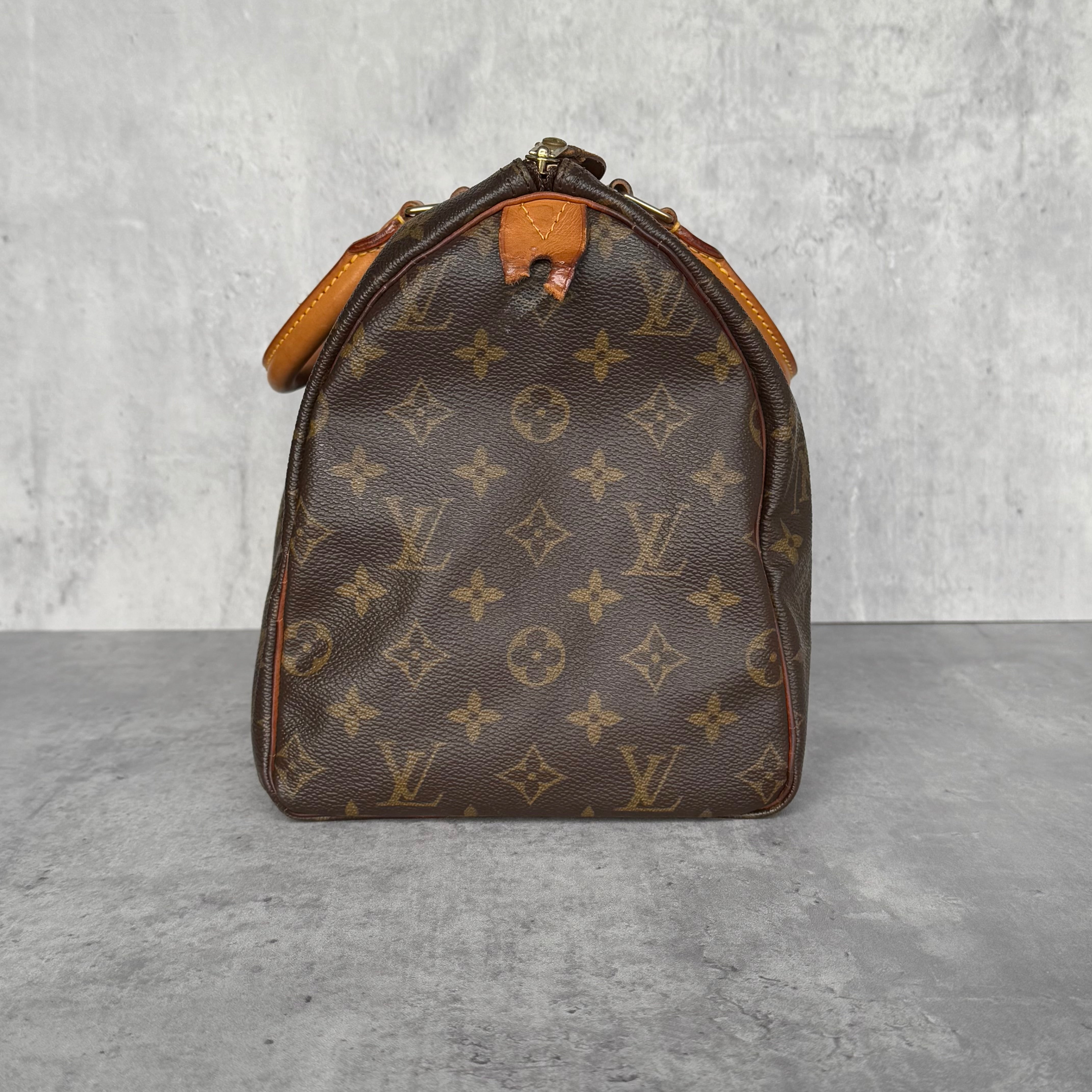 Louis Vuitton Monogram Speedy 30 Handbag Brown