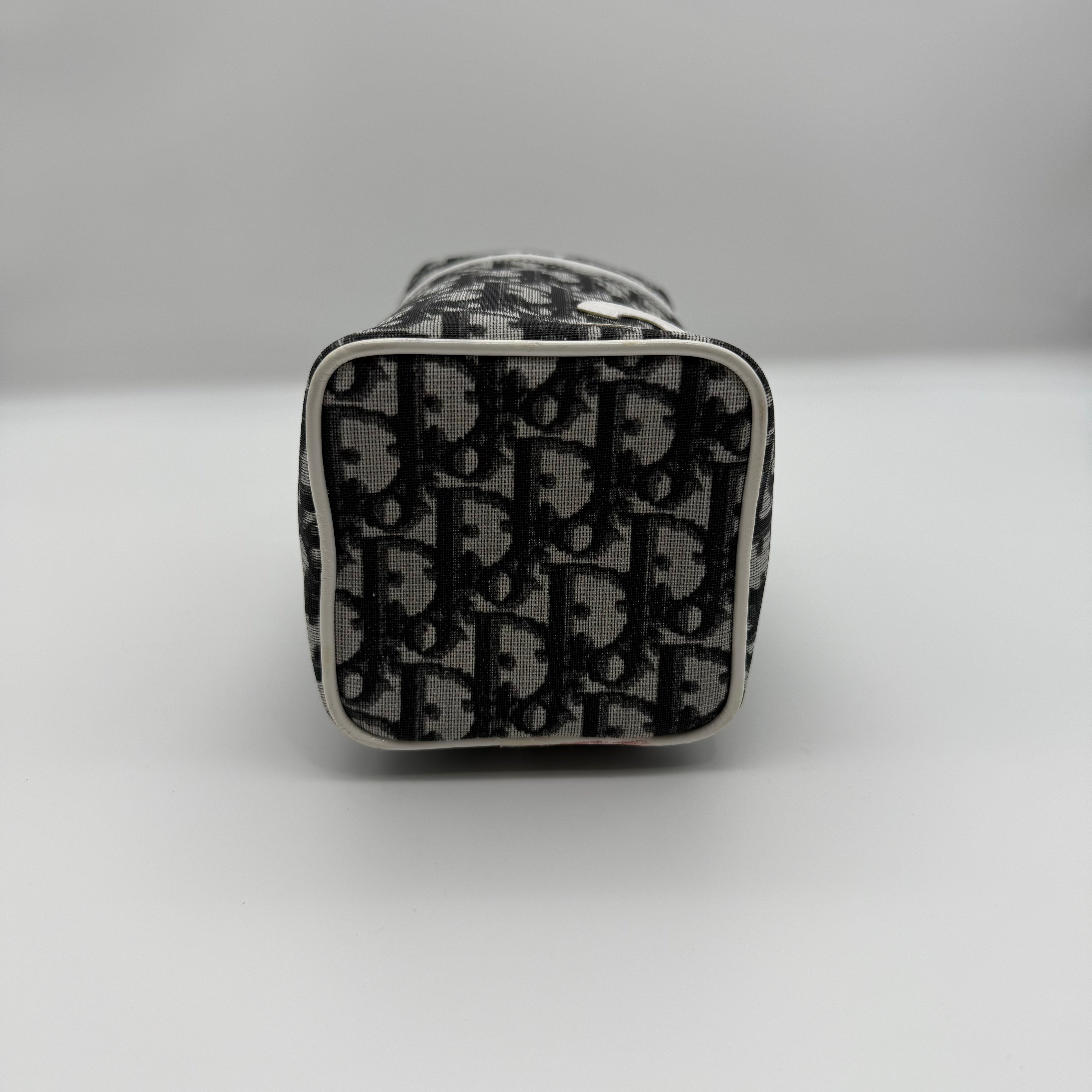 Dior Trotter Cosmetic Pouch Black/Grey