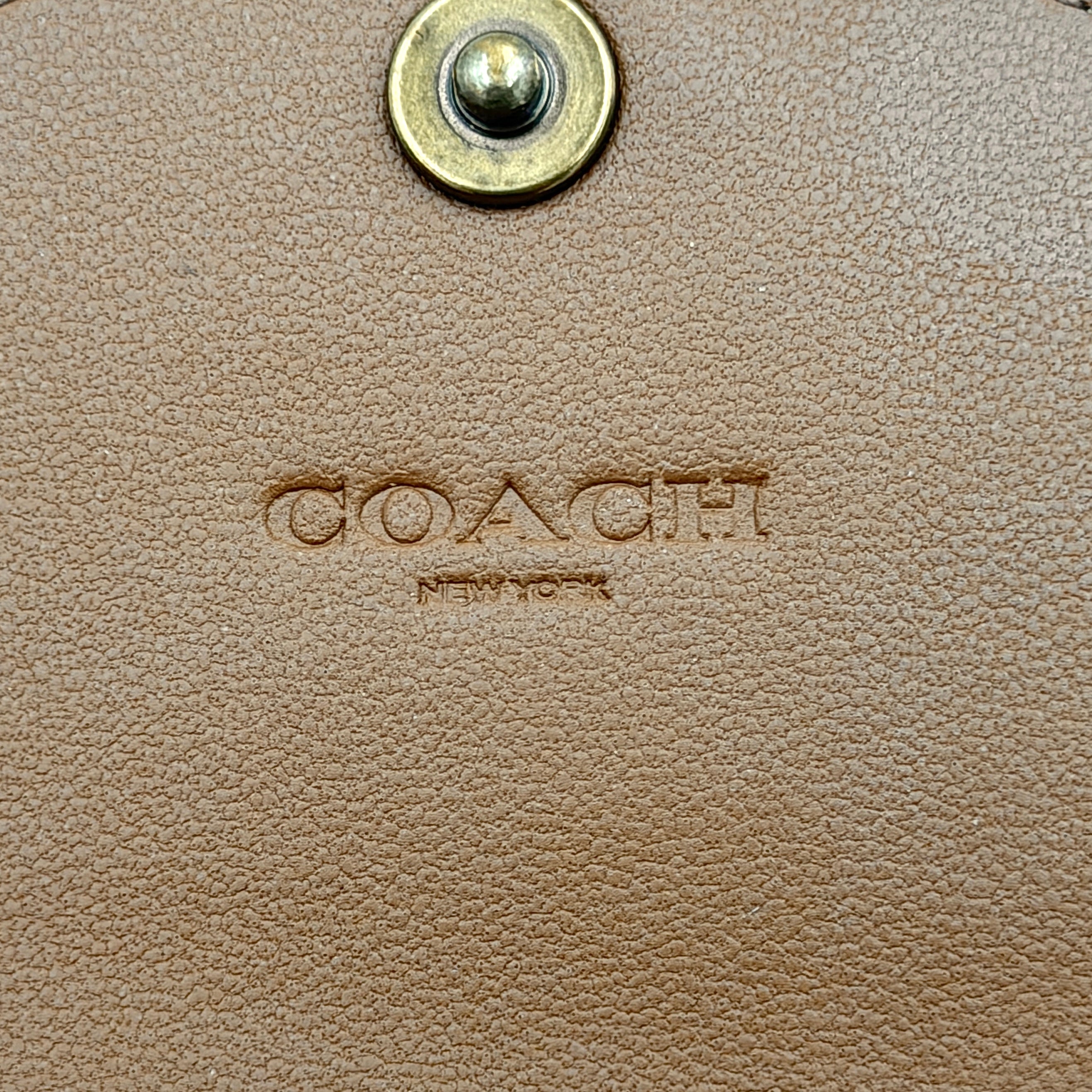 Coach Wyn Small Wallet in vibrant yellow leather with gold-tone 'C' detail on the envelope flap.