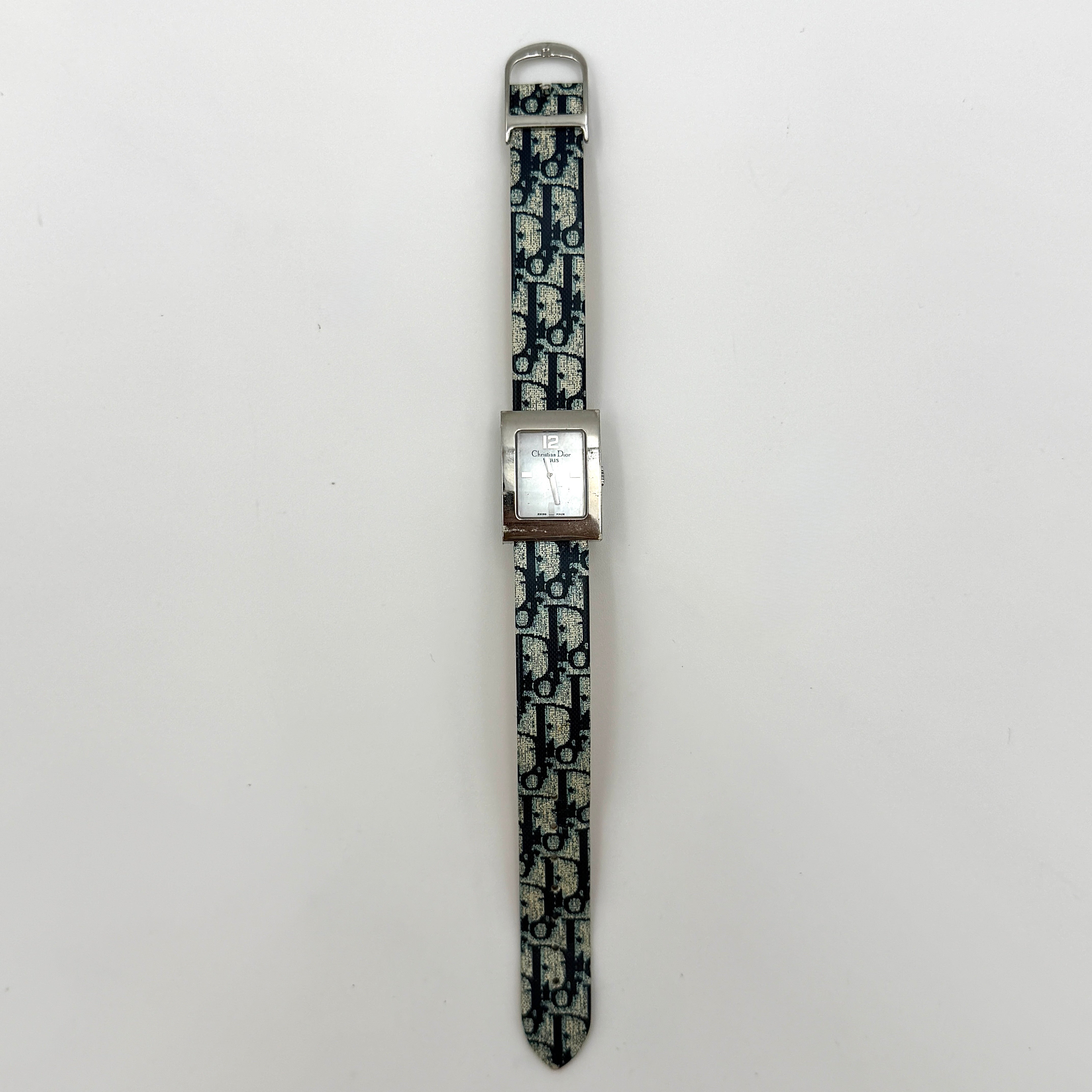 Dior Trotter Malice Watch Blue