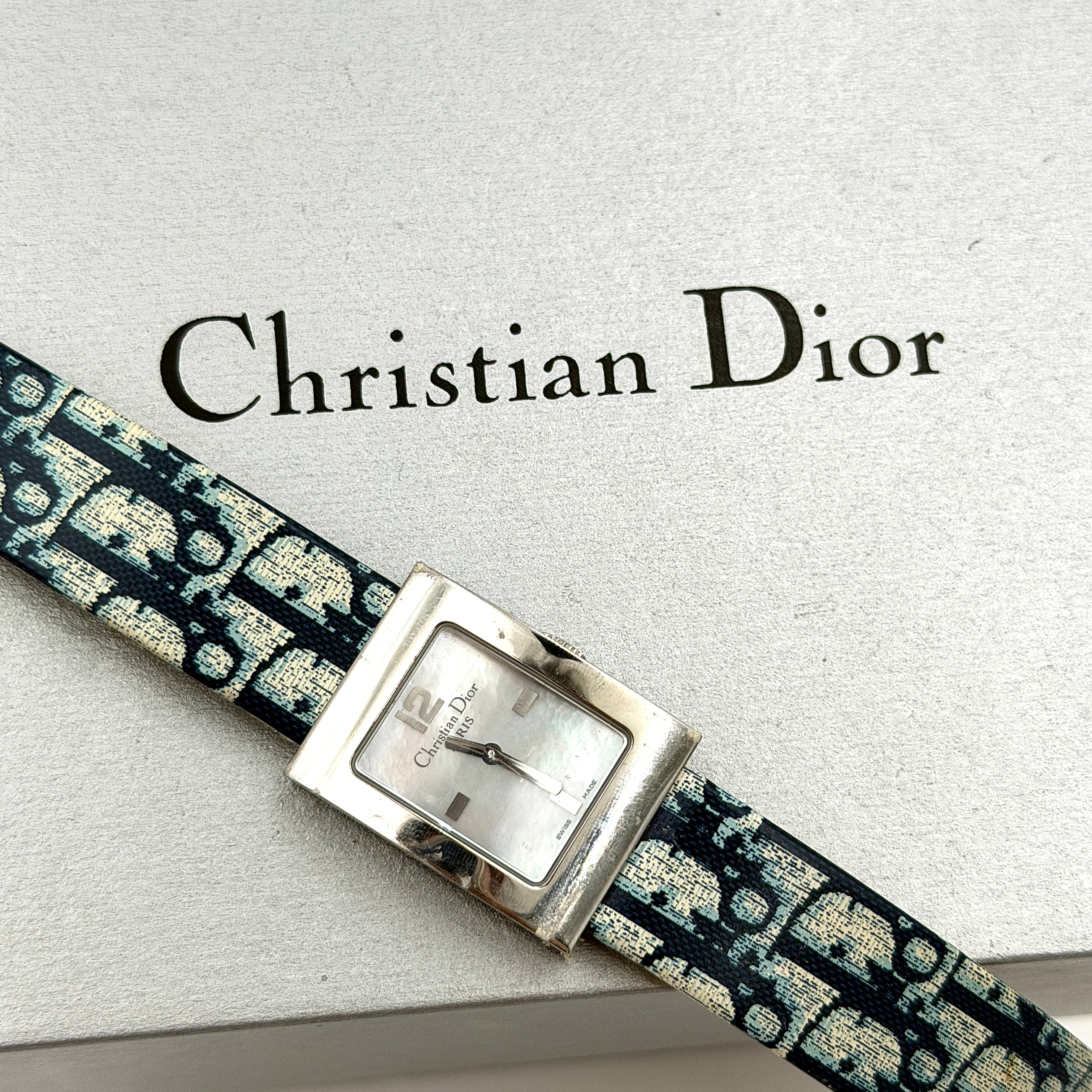 Dior Trotter Malice Watch Blue