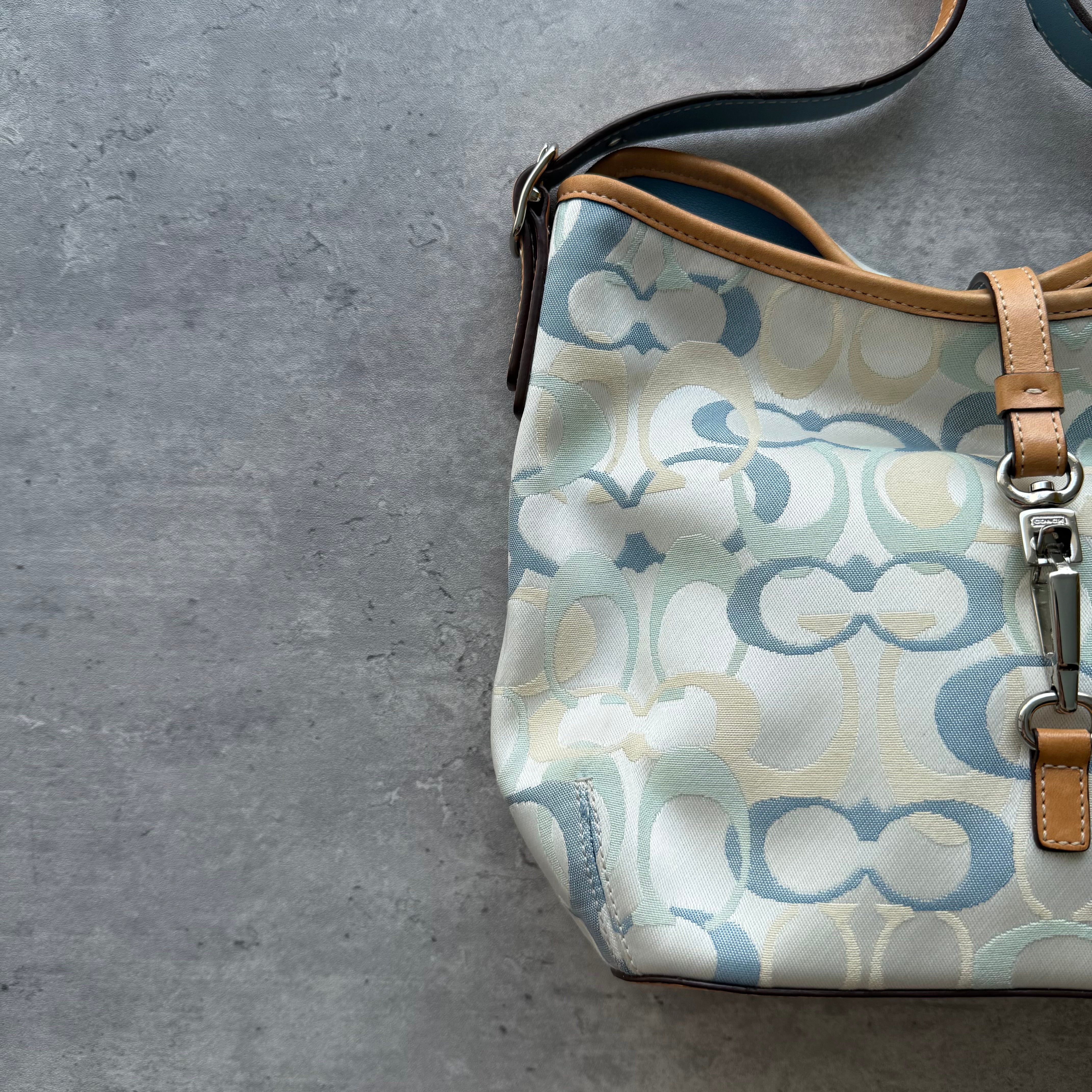 Coach Signature Clip Shoulder Bag Multicolor