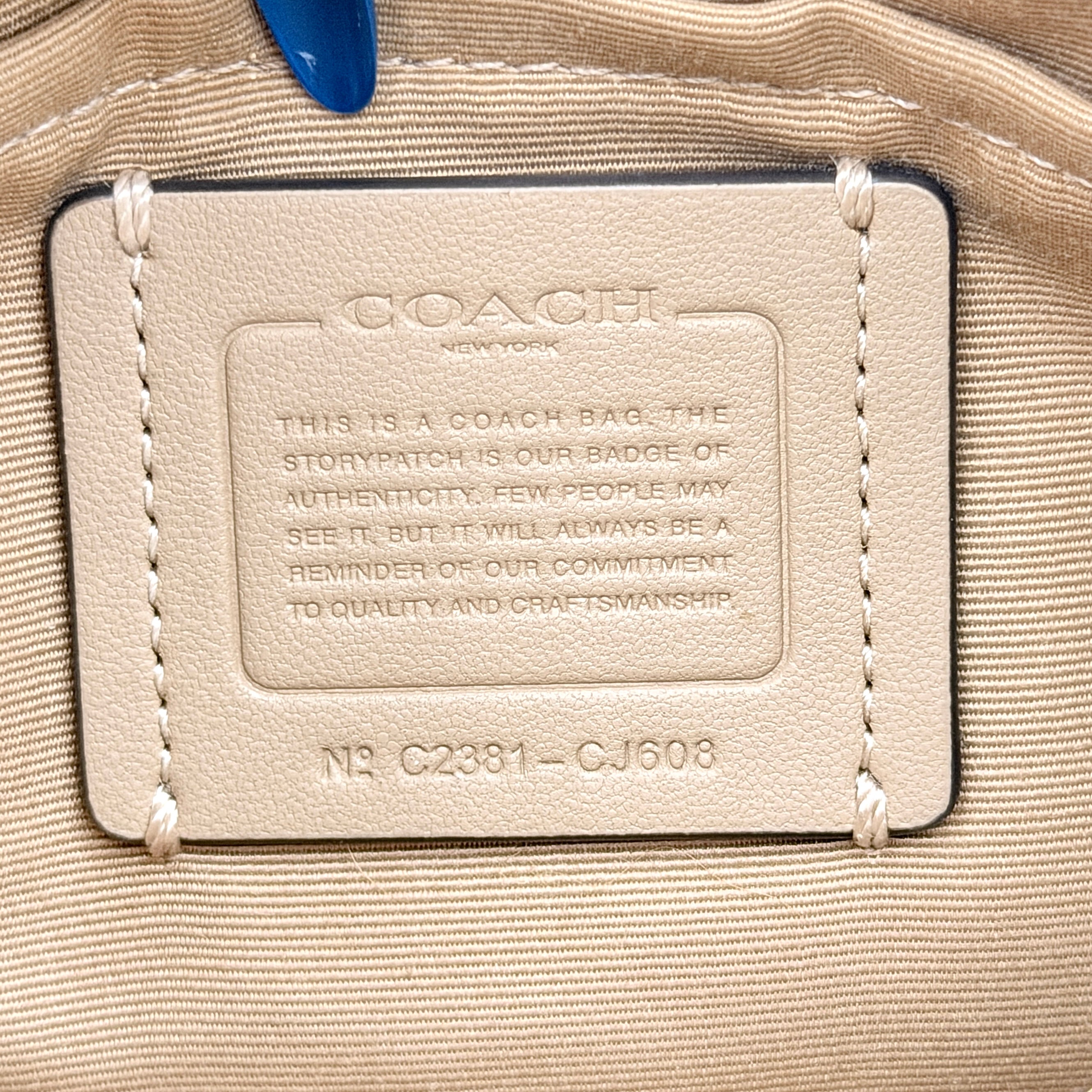 Coach 2Way C Teri Quilted Shoulder Bag in pastel green leather with oversized chain handle and detachable strap, displayed against a clean background.