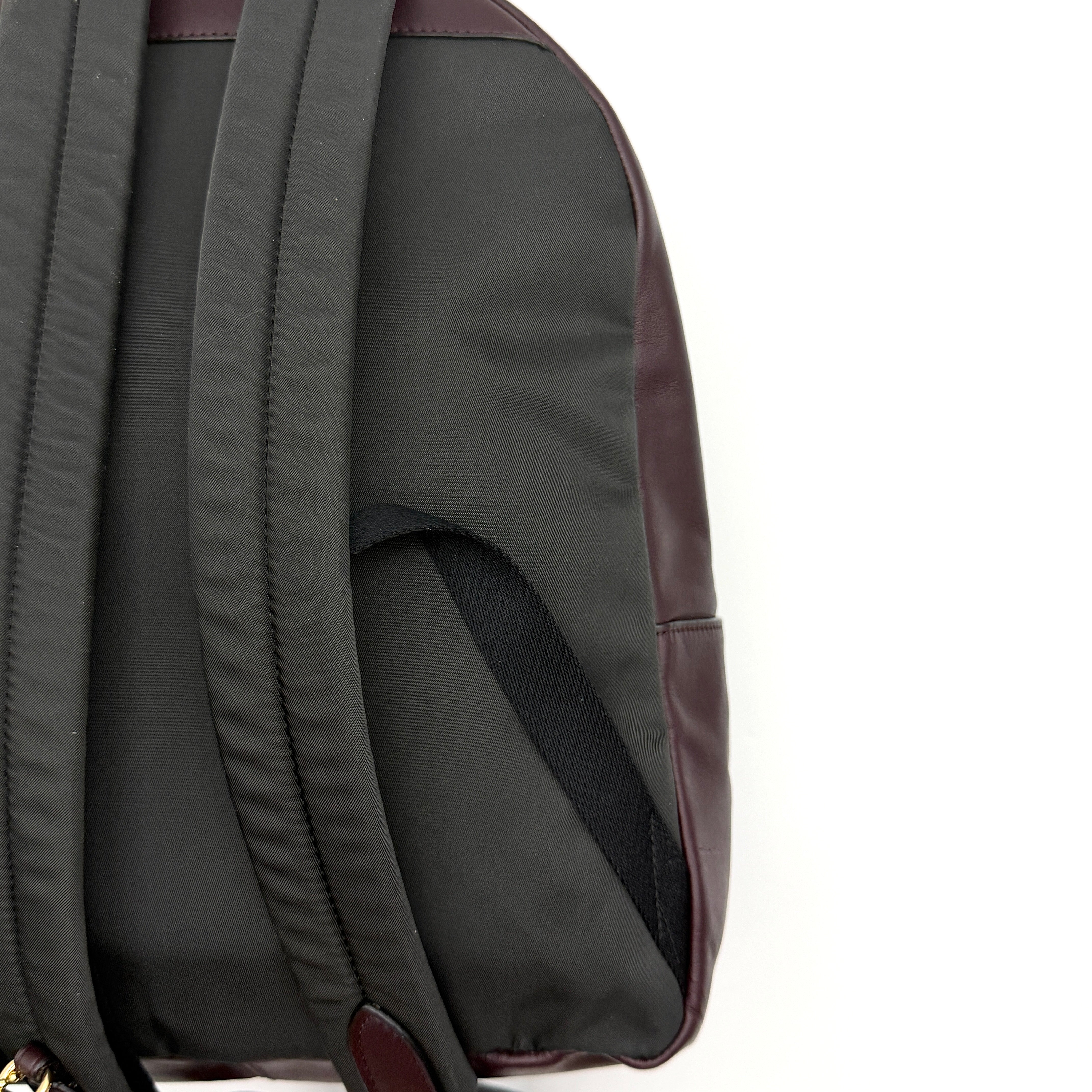 Coach Signature Charlie Stripe Backpack Brown/Pink