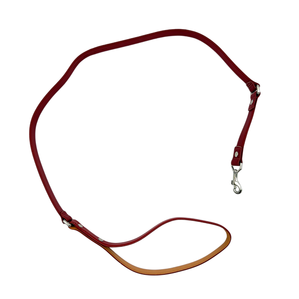 Coach leather pet leash in rich red with silvertone hardware and white contrast stitching, elegantly coiled to showcase its supple construction.