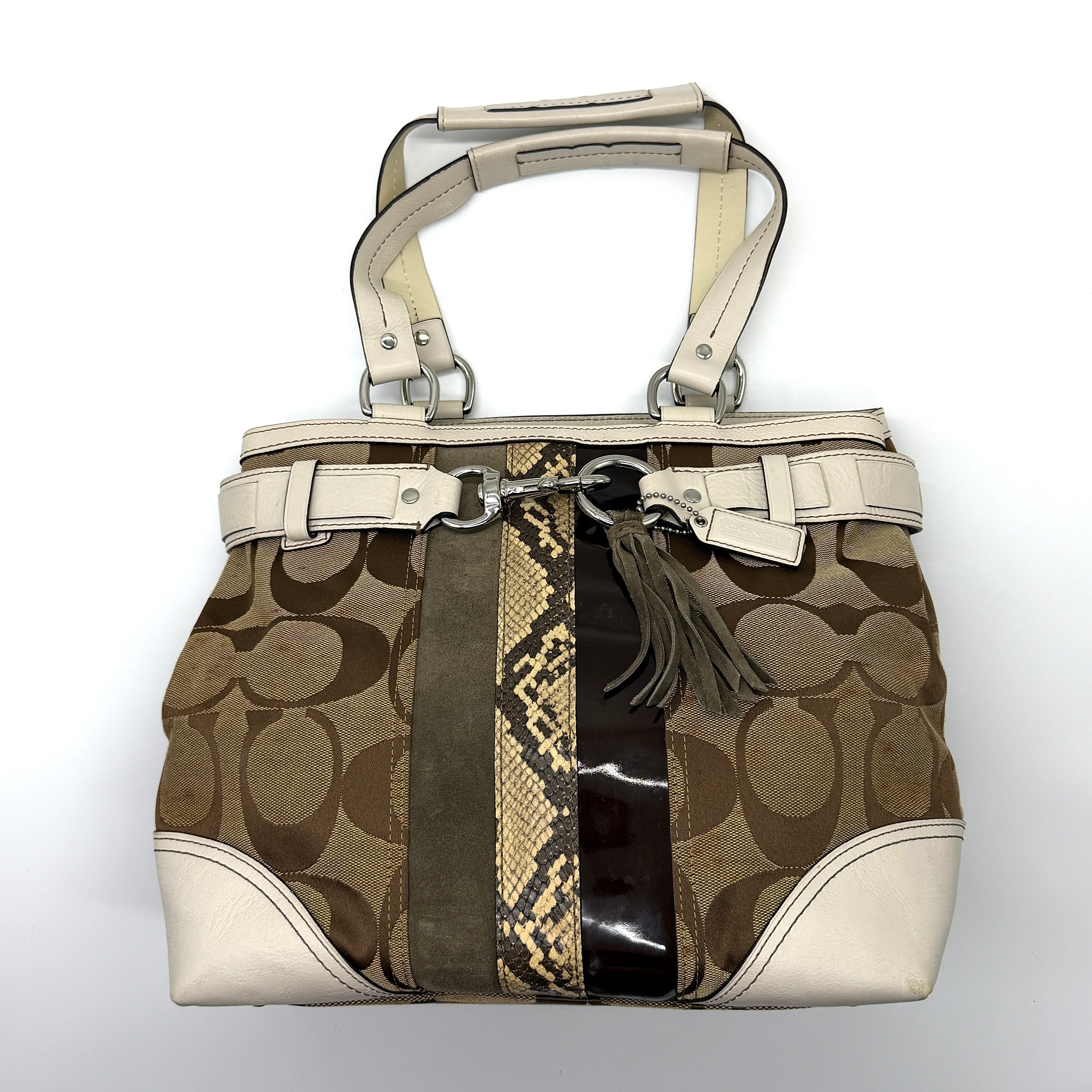 Coach Signature Python Stripe Shoulder Bag Multi