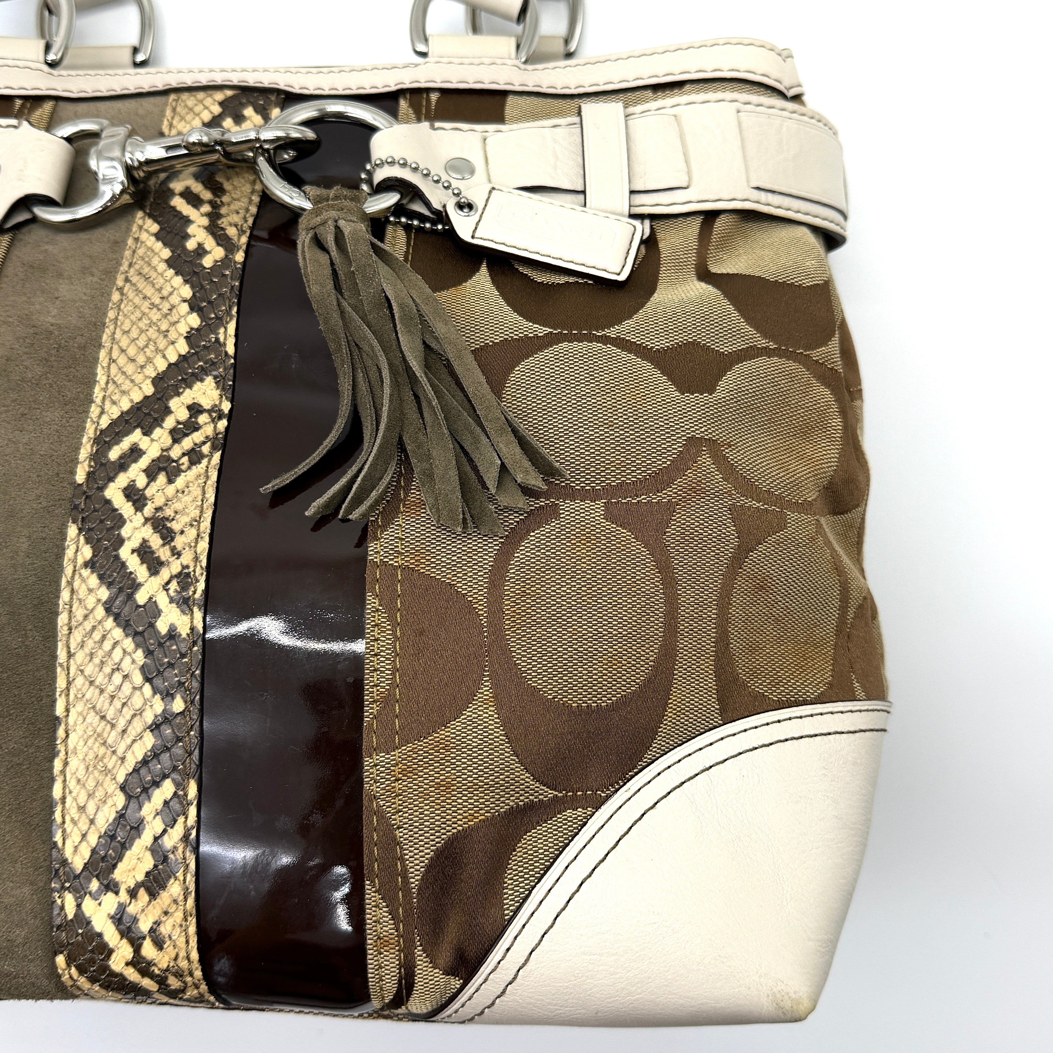 Coach Signature Python Stripe Shoulder Bag Multi