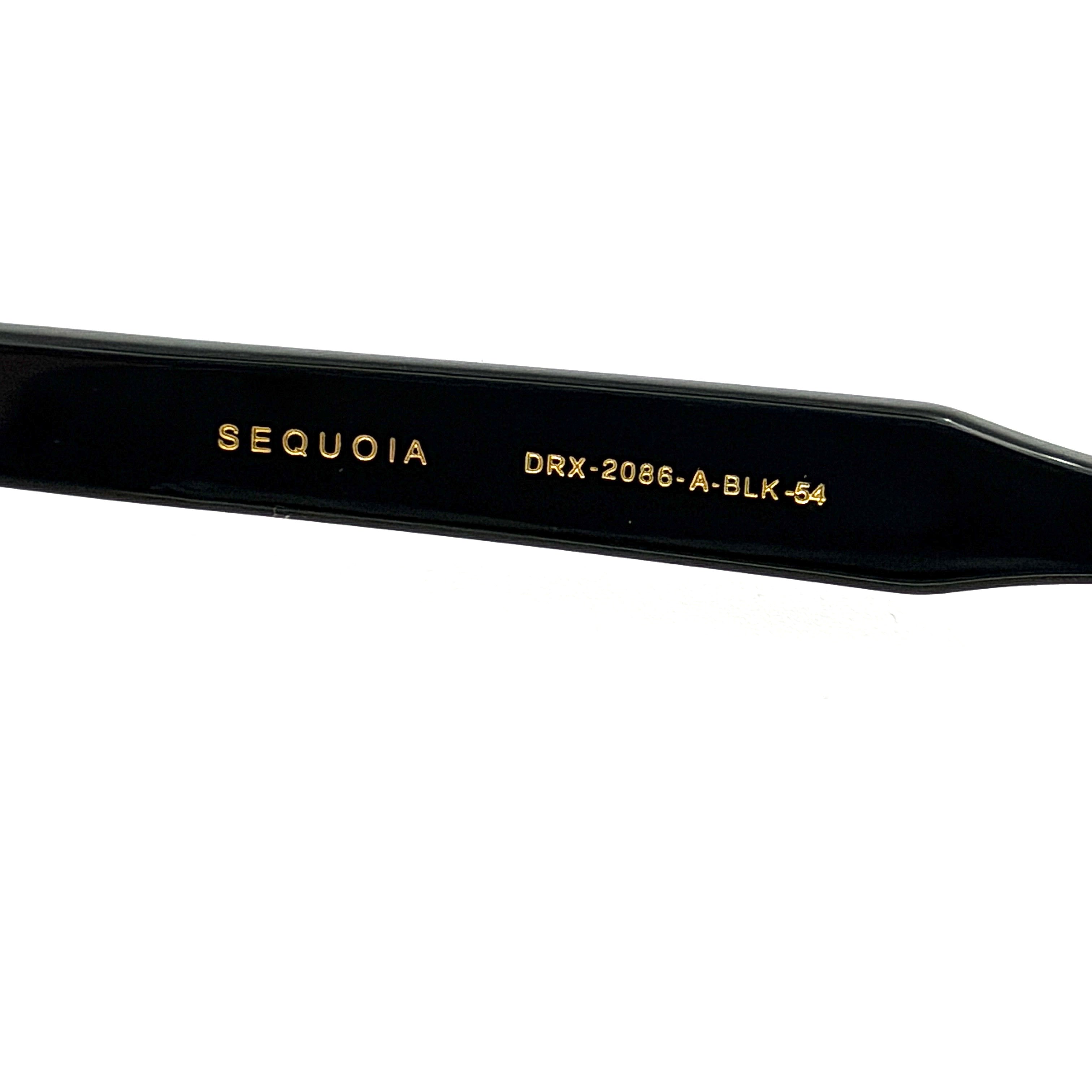 DITA Sequoia DRX-2086 black square-frame sunglasses with gold-tone accents and branded case.