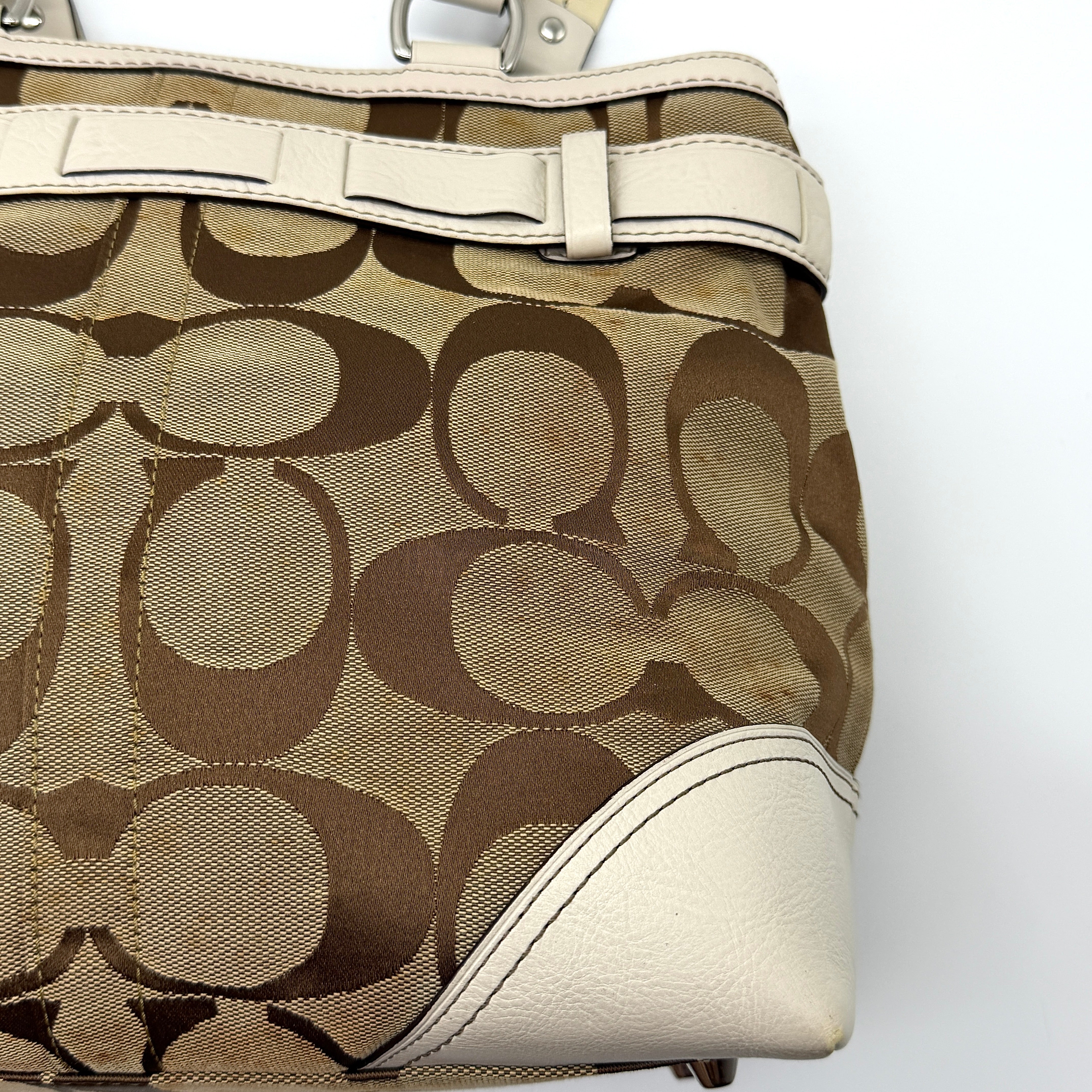 Coach Signature Python Stripe Shoulder Bag Multi