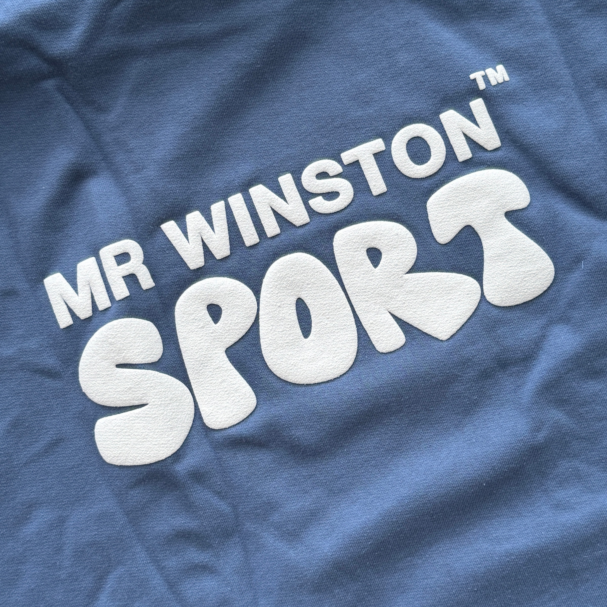 Mr Winston navy hooded sweatshirt with front logo detail, shown laid flat.