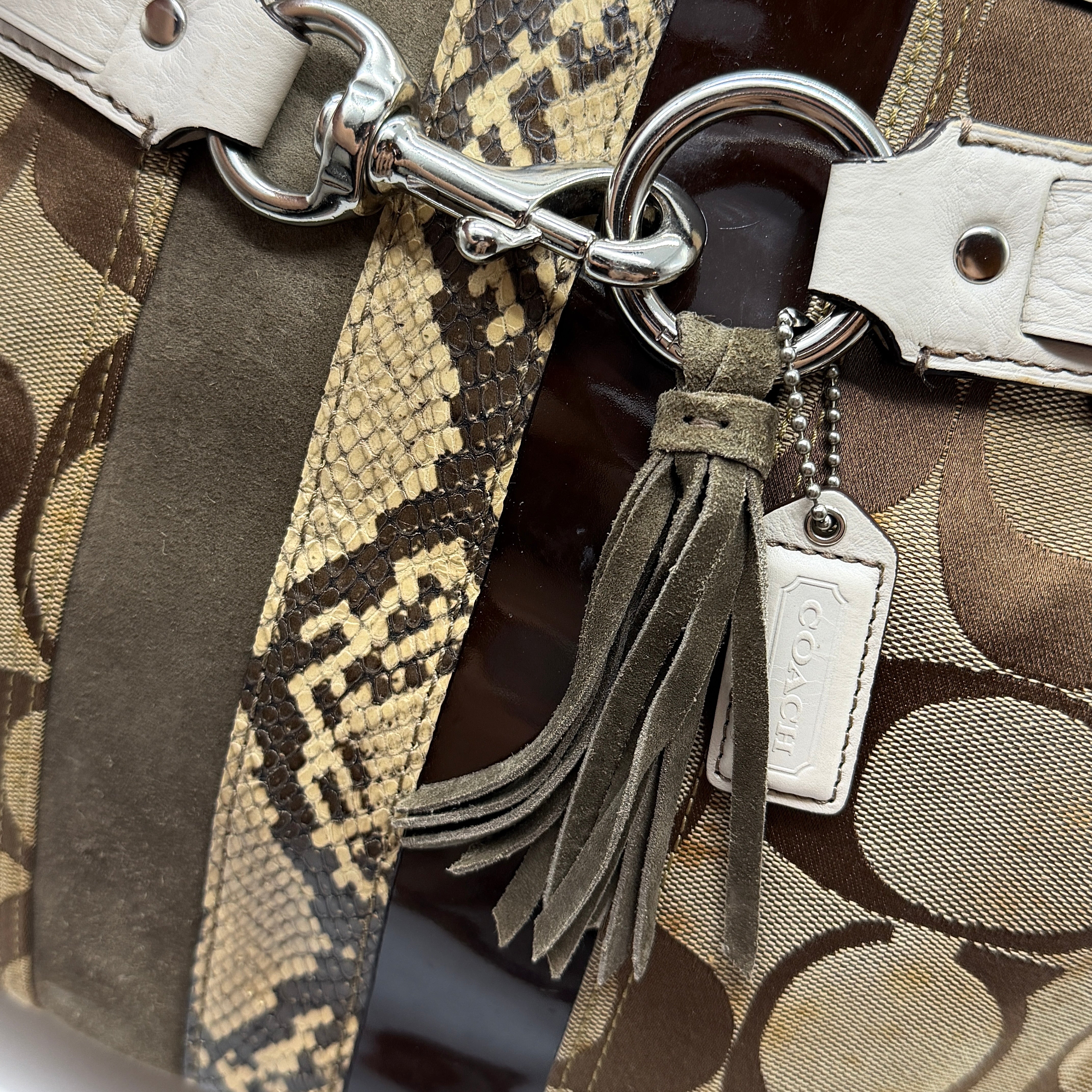 Coach Signature Python Stripe Shoulder Bag Multi