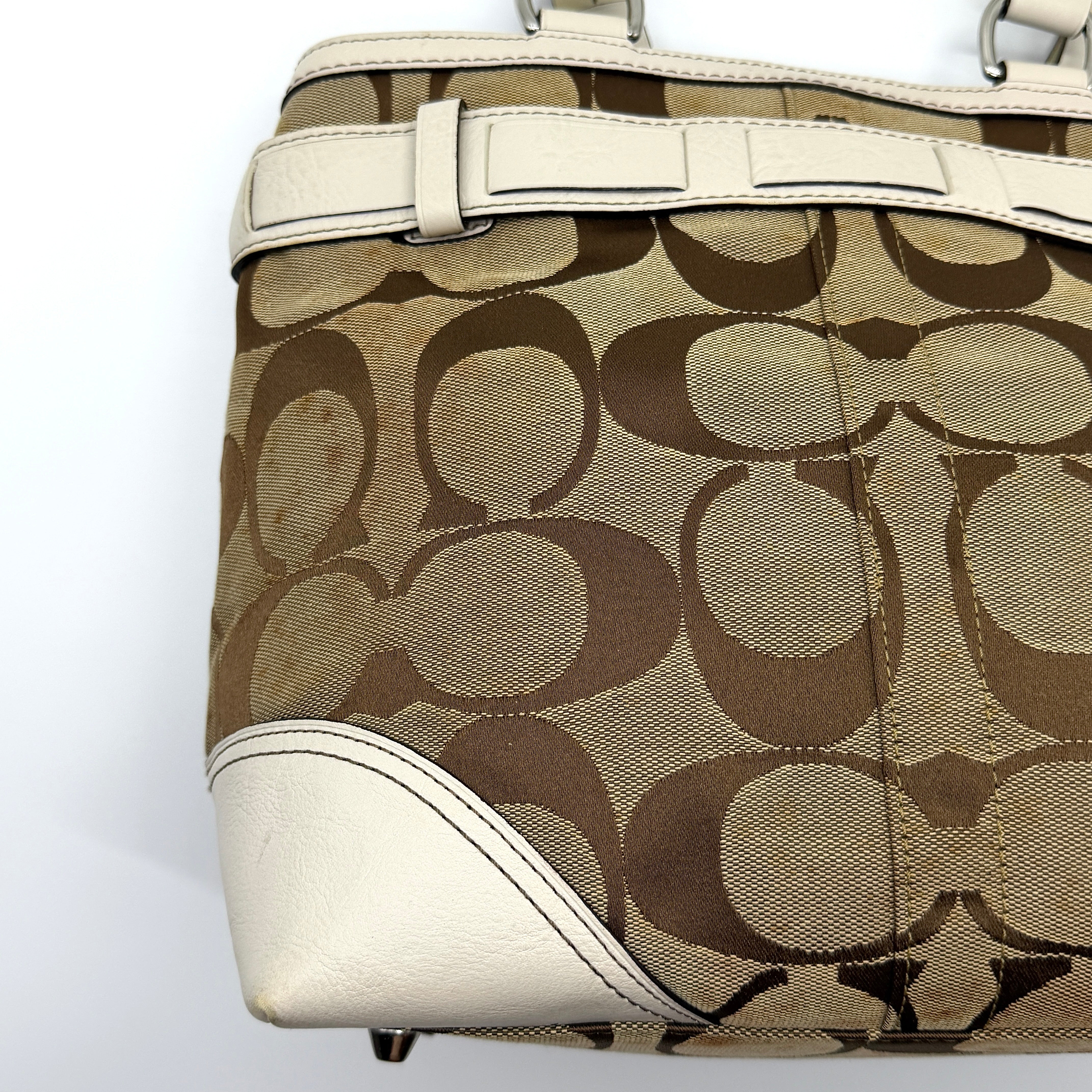 Coach Signature Python Stripe Shoulder Bag Multi