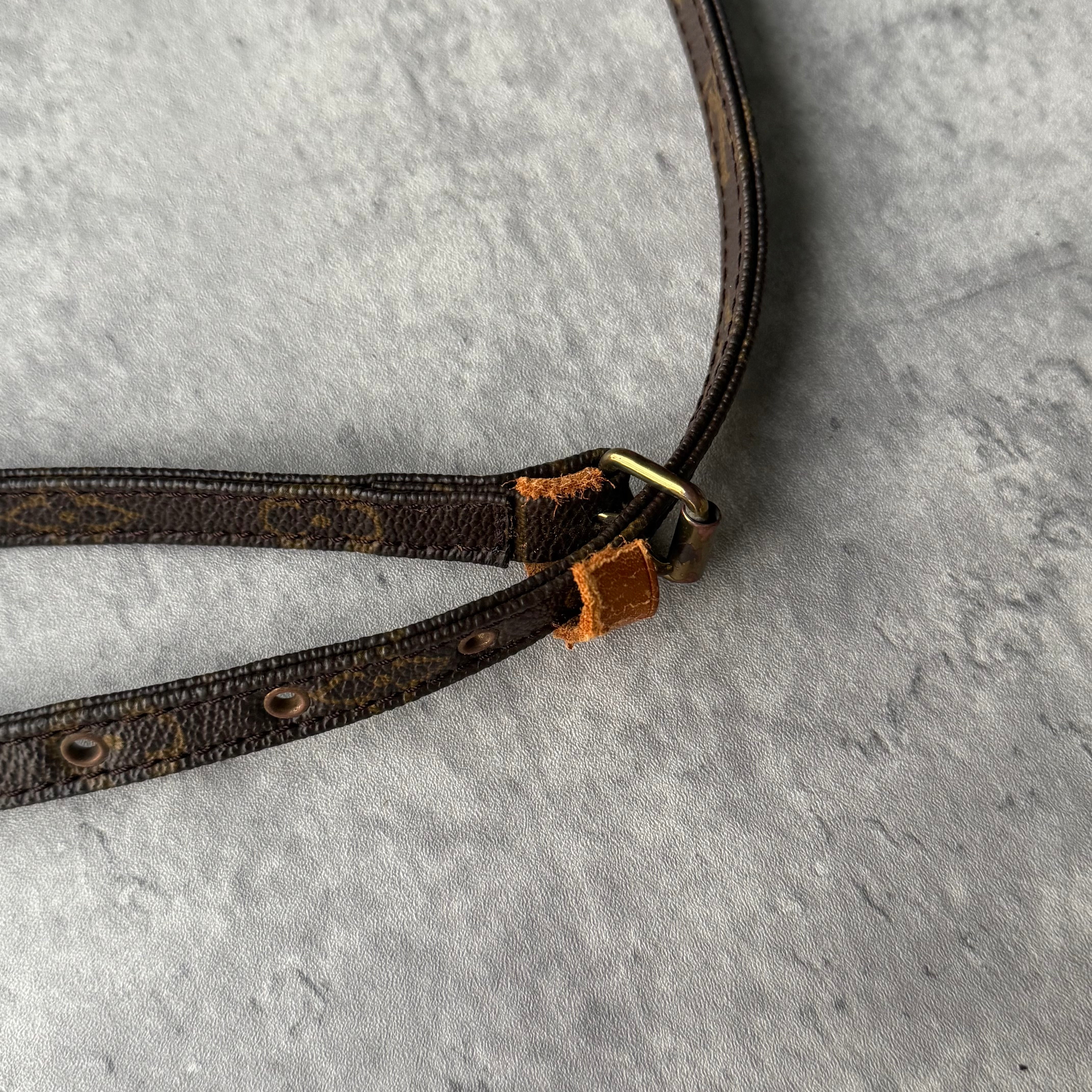 Louis Vuitton Monogram Danube Crossbody Bag Brown