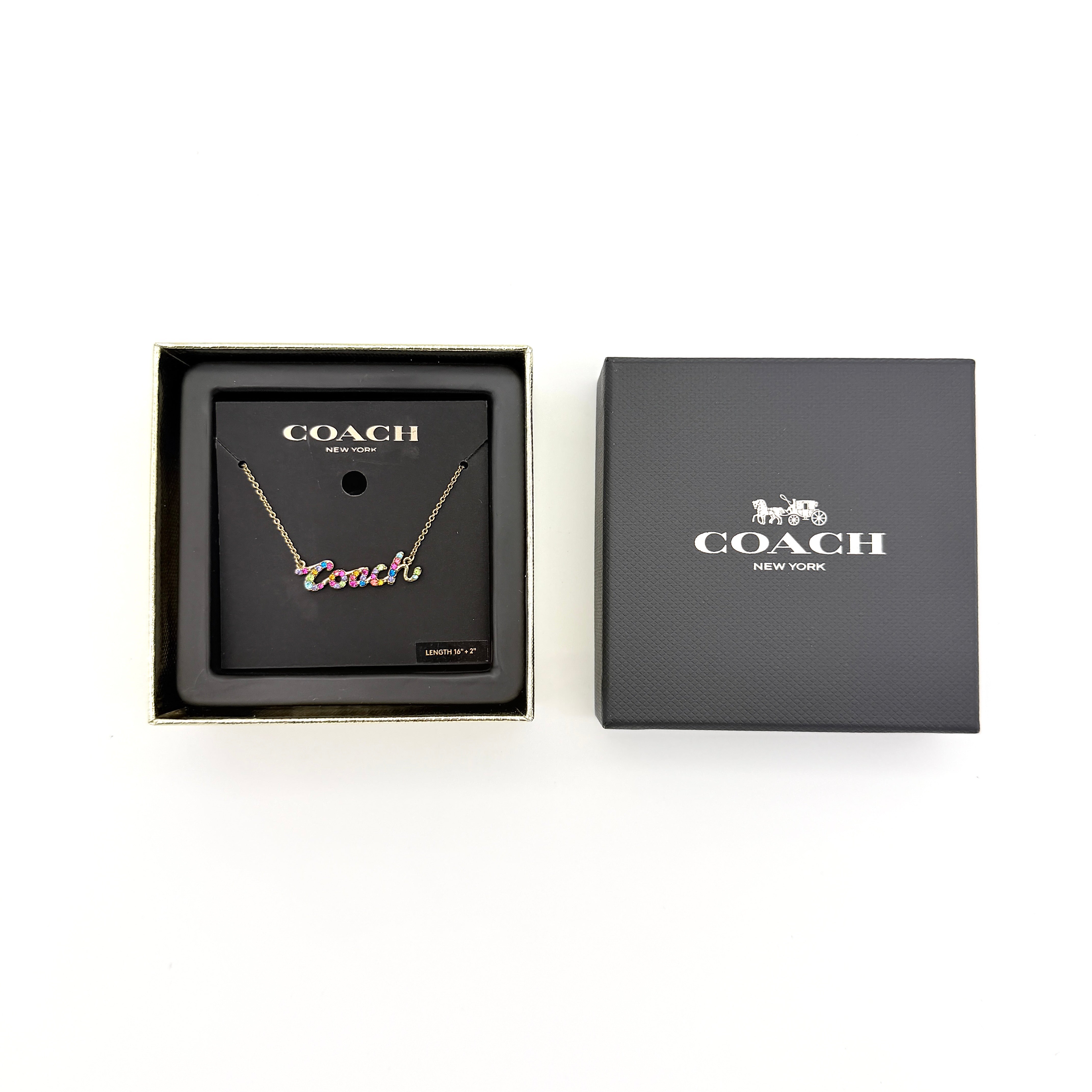 Coach Signature Script Rainbow Necklace Multicolor