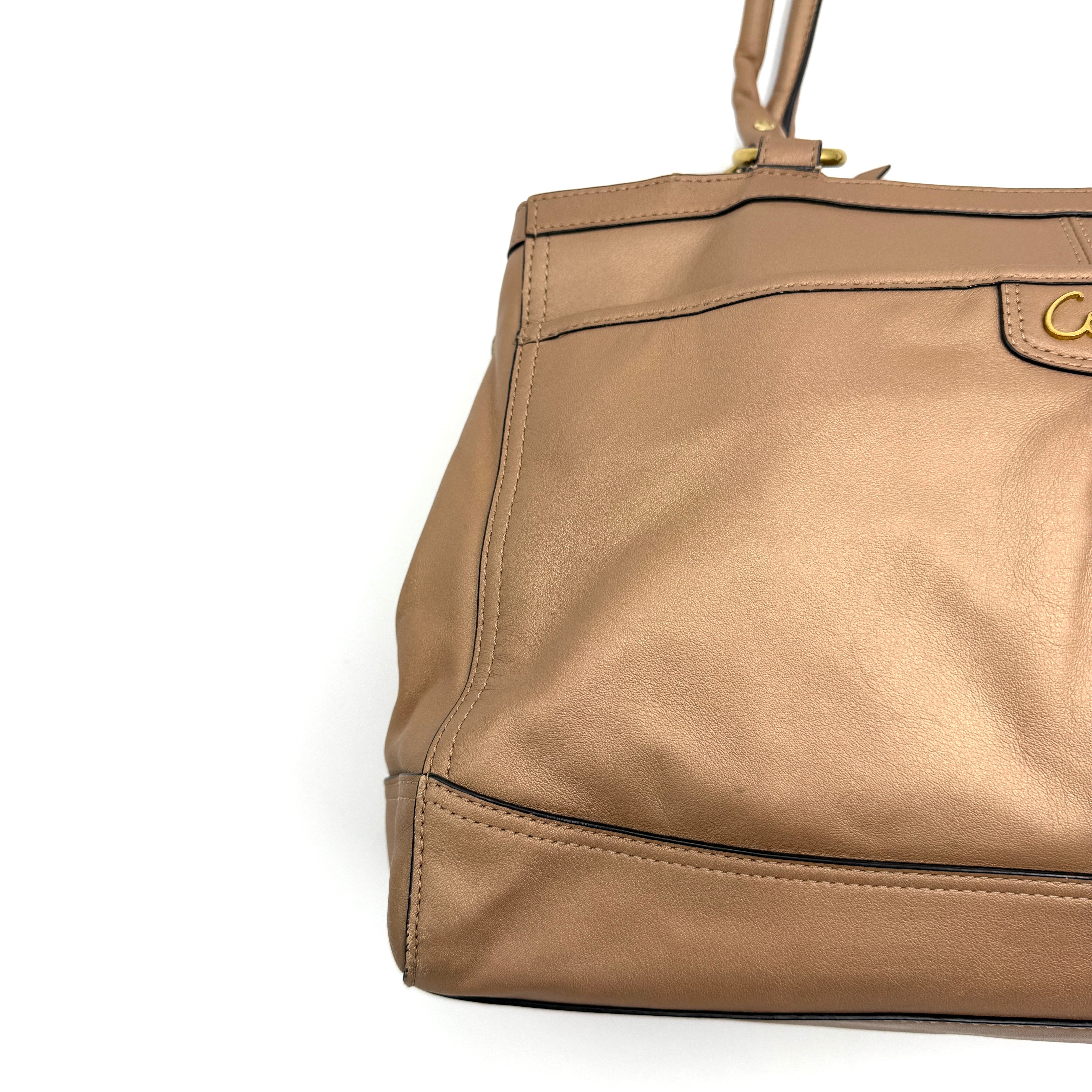 Coach Park Leather Carryall in beige leather with gold-tone hardware and double handles, styled with signature Coach hangtags.