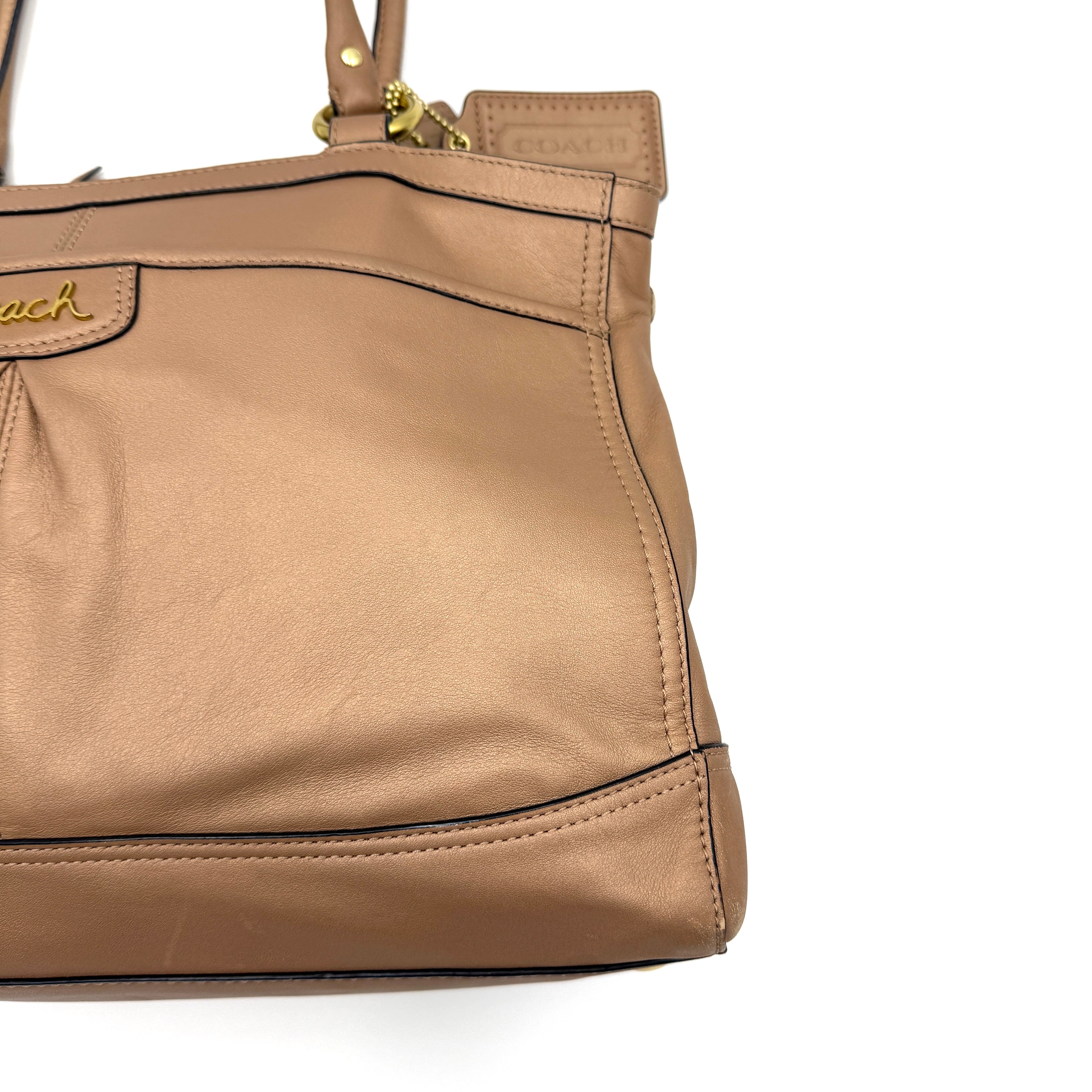 Coach Park Leather Carryall in beige leather with gold-tone hardware and double handles, styled with signature Coach hangtags.