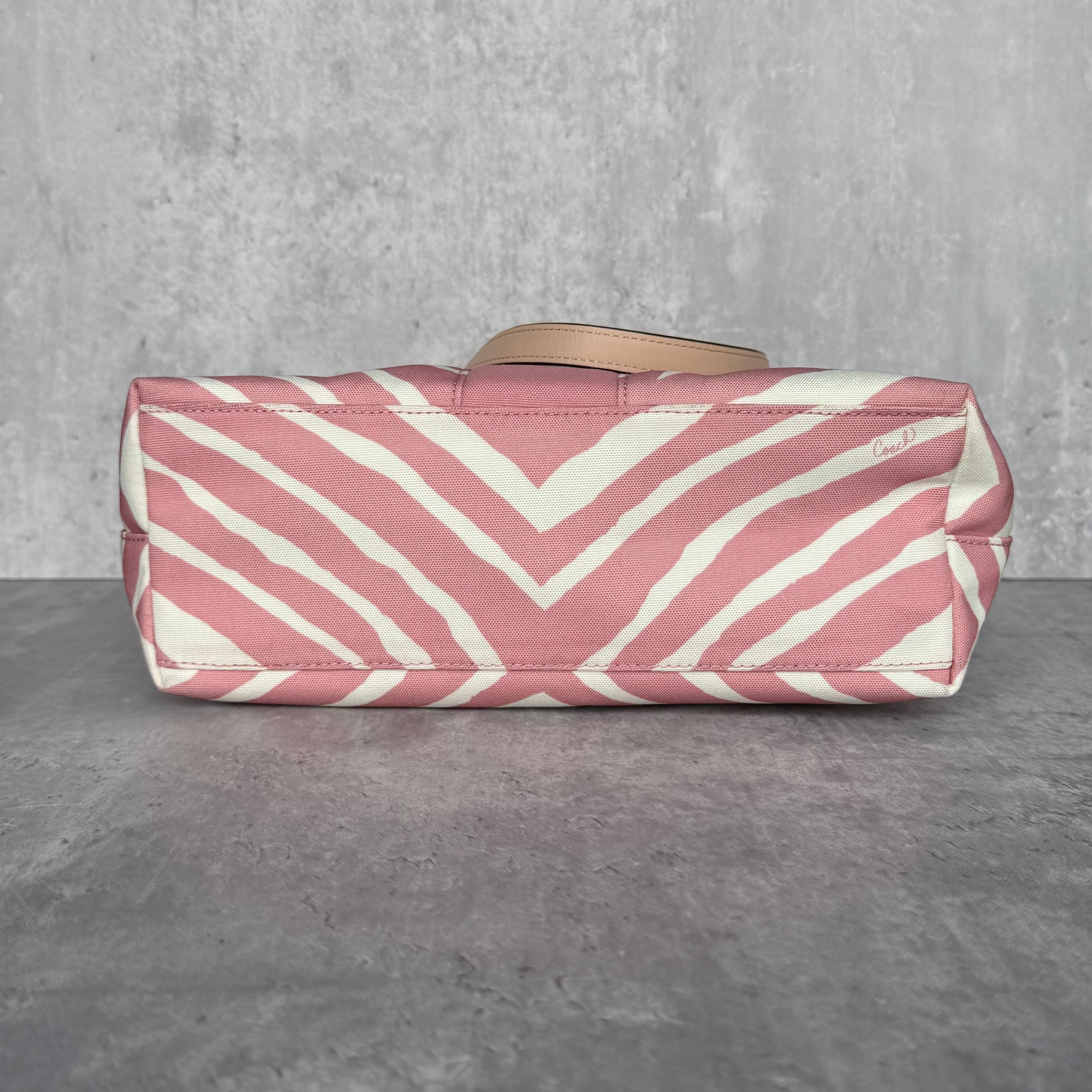 Coach Zebra Striped Carryall Tote Bag Blush Pink/White