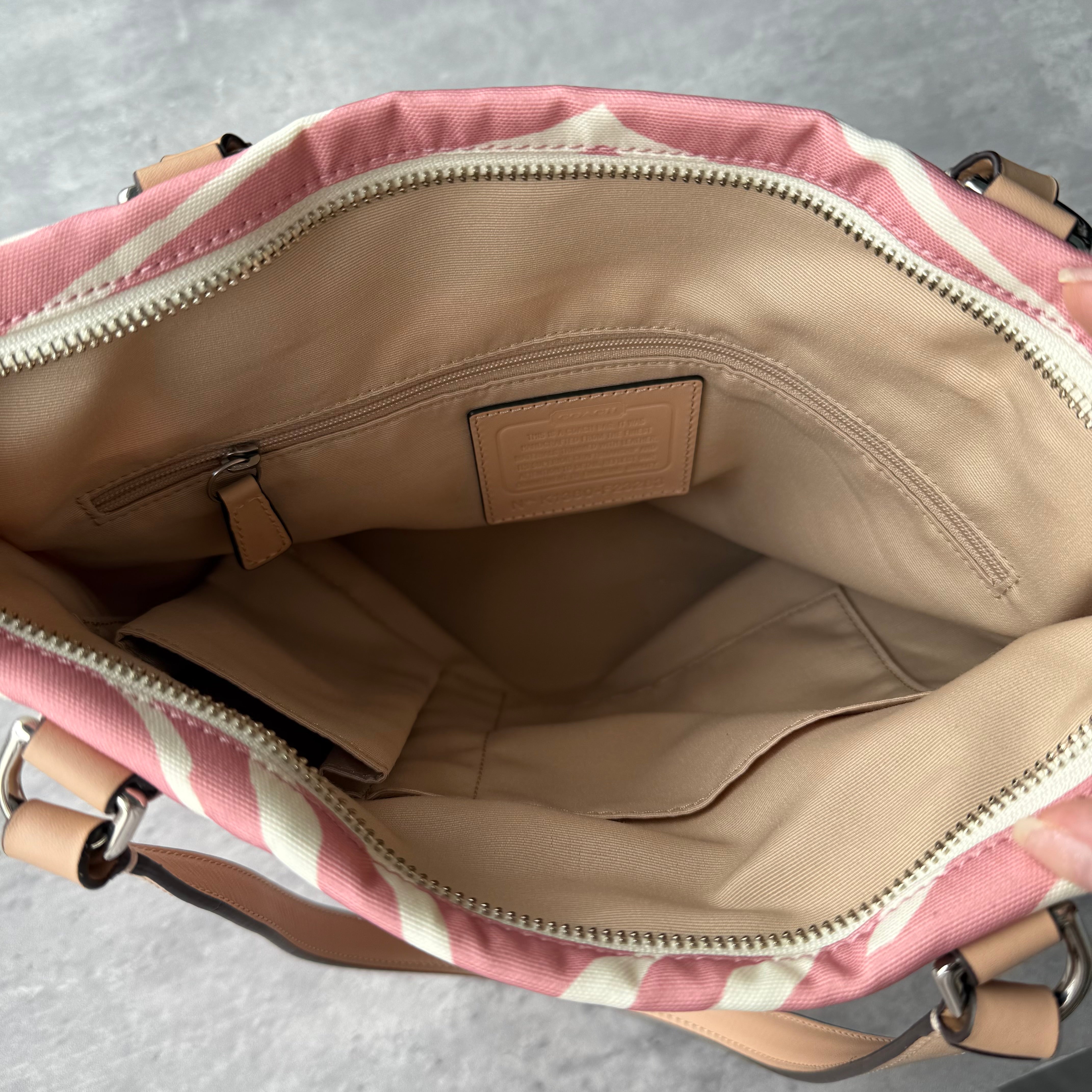 Coach Zebra Striped Carryall Tote Bag Blush Pink/White