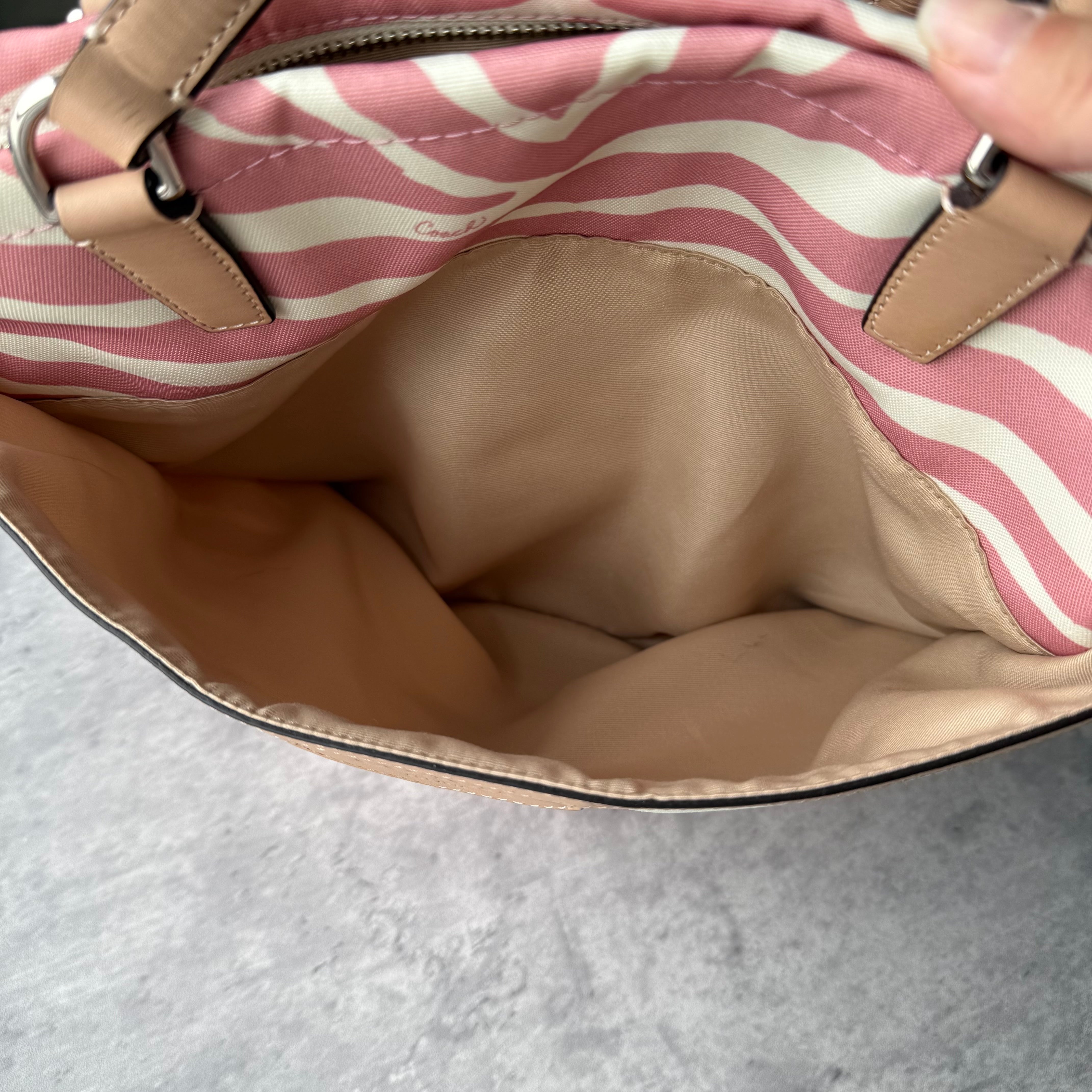 Coach Zebra Striped Carryall Tote Bag Blush Pink/White