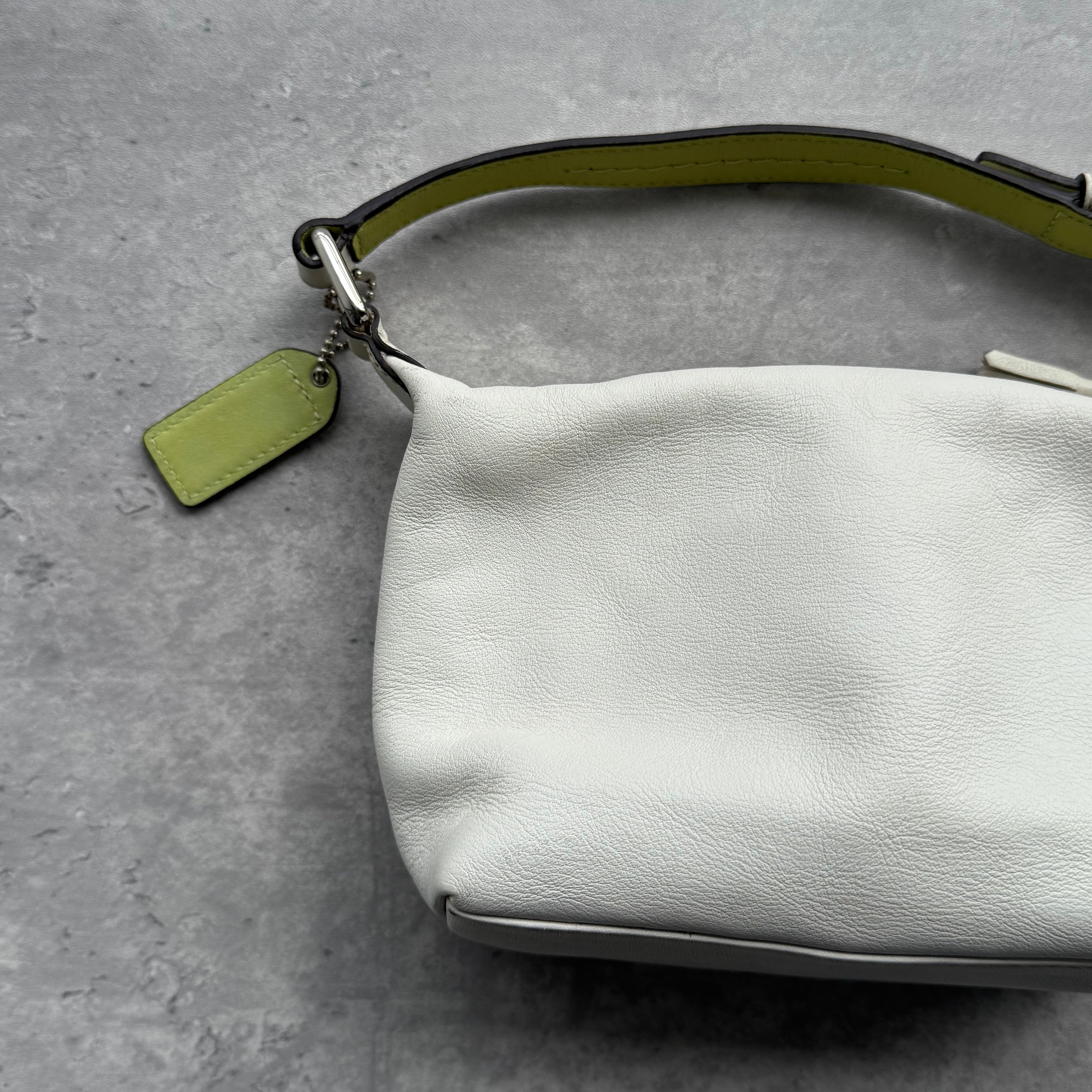 Coach Signature Stripe Mini Hobo ShoulderBag Green/White