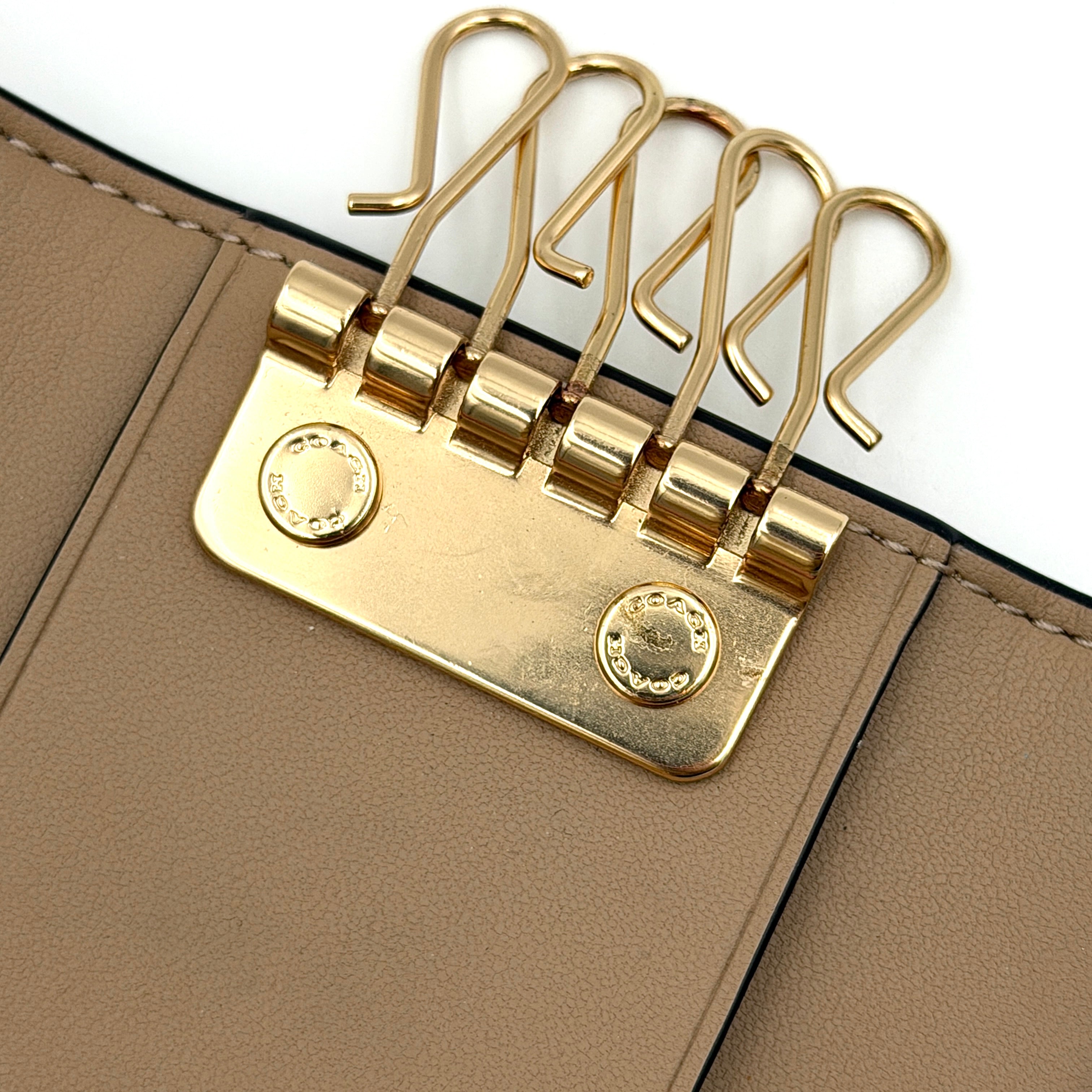 Coach floral print key case in cream with pink and brown blossom accents, gold hardware and structured silhouette.