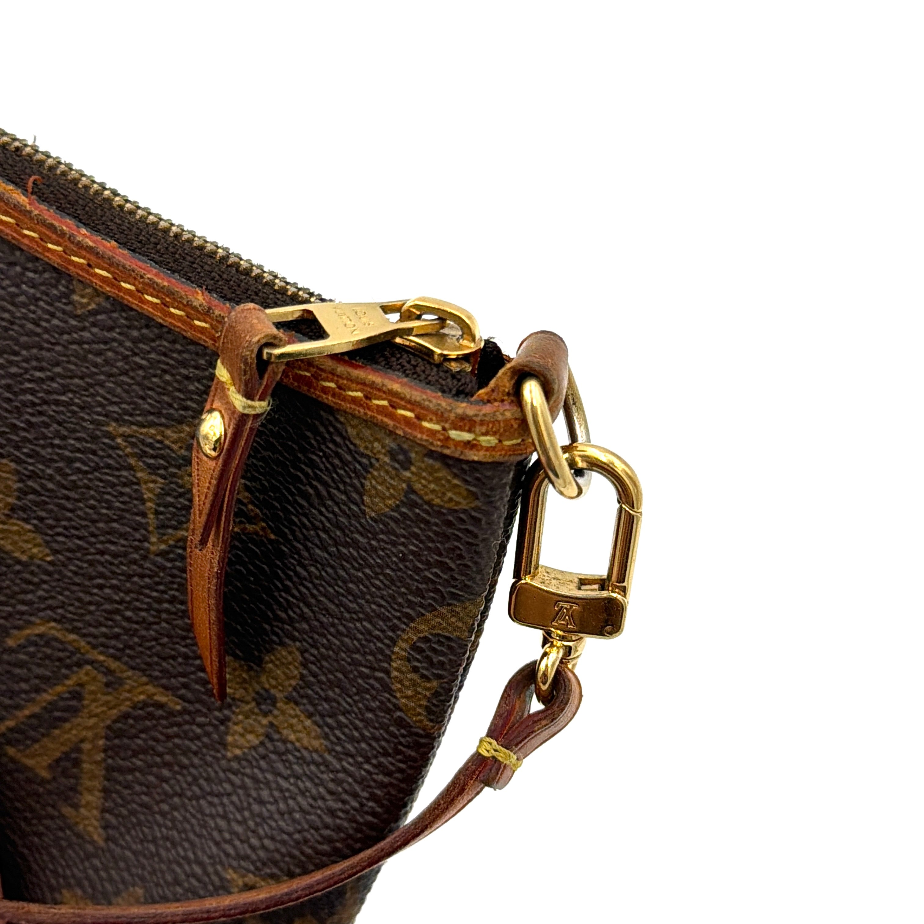 Louis Vuitton Monogram Mini Delightful Pochette Bag Brown