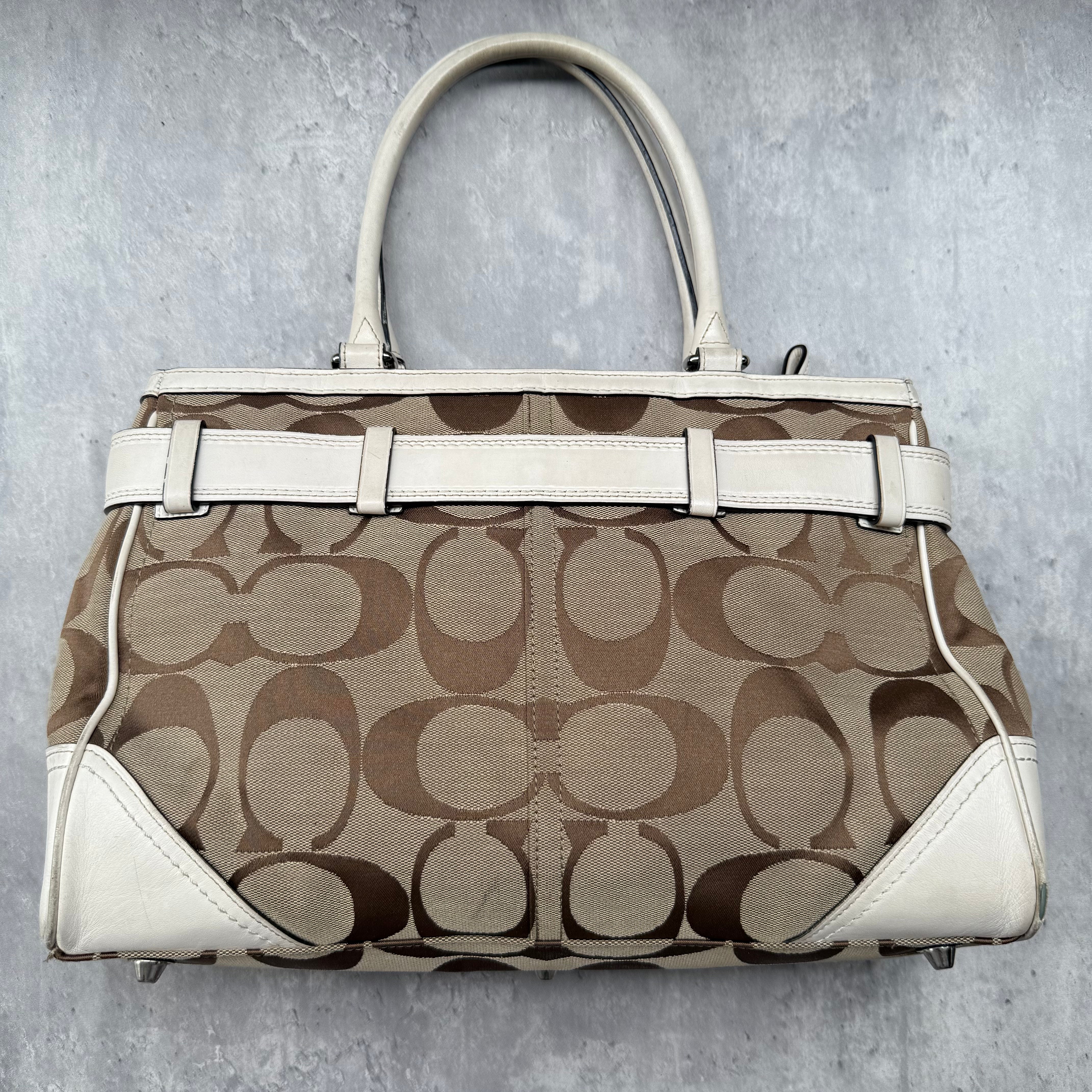 Coach Signature Hampton Stripe Leopard Carryall HandBag Multicolor