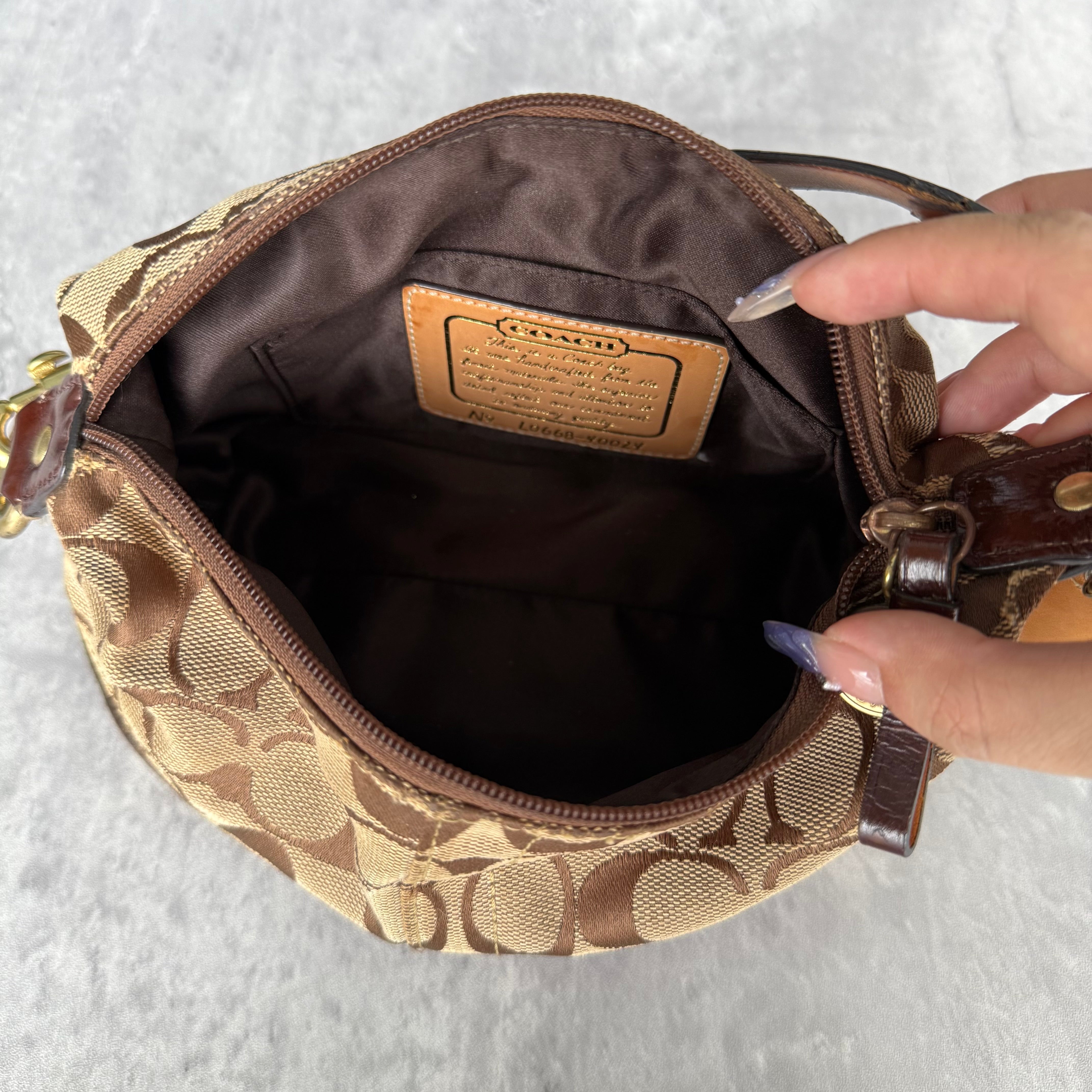 Coach Signature Stripe Mini Hobo ShoulderBag Beige/Brown