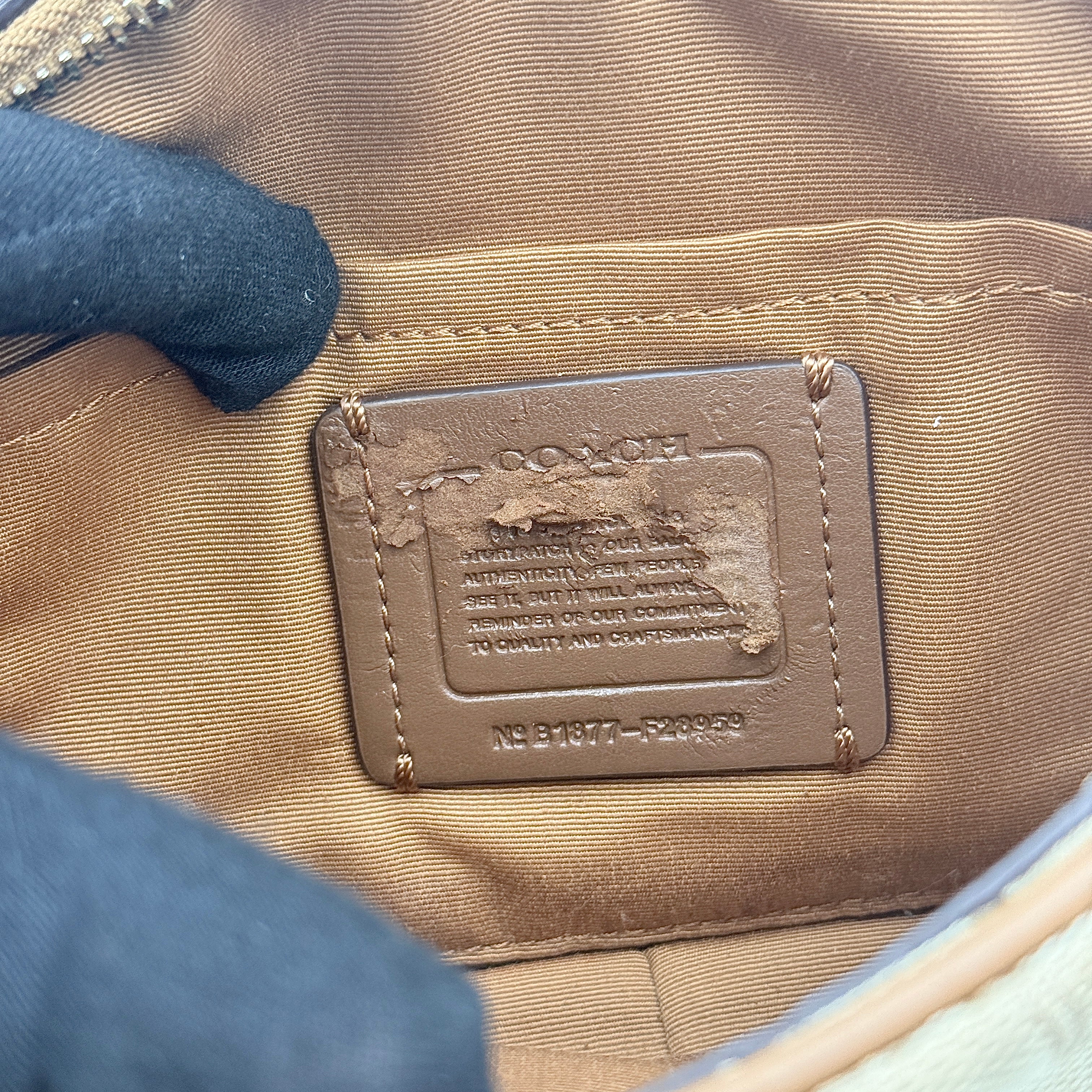 Coach Signature Isla Chain Crossbody Bag Beige/Brown