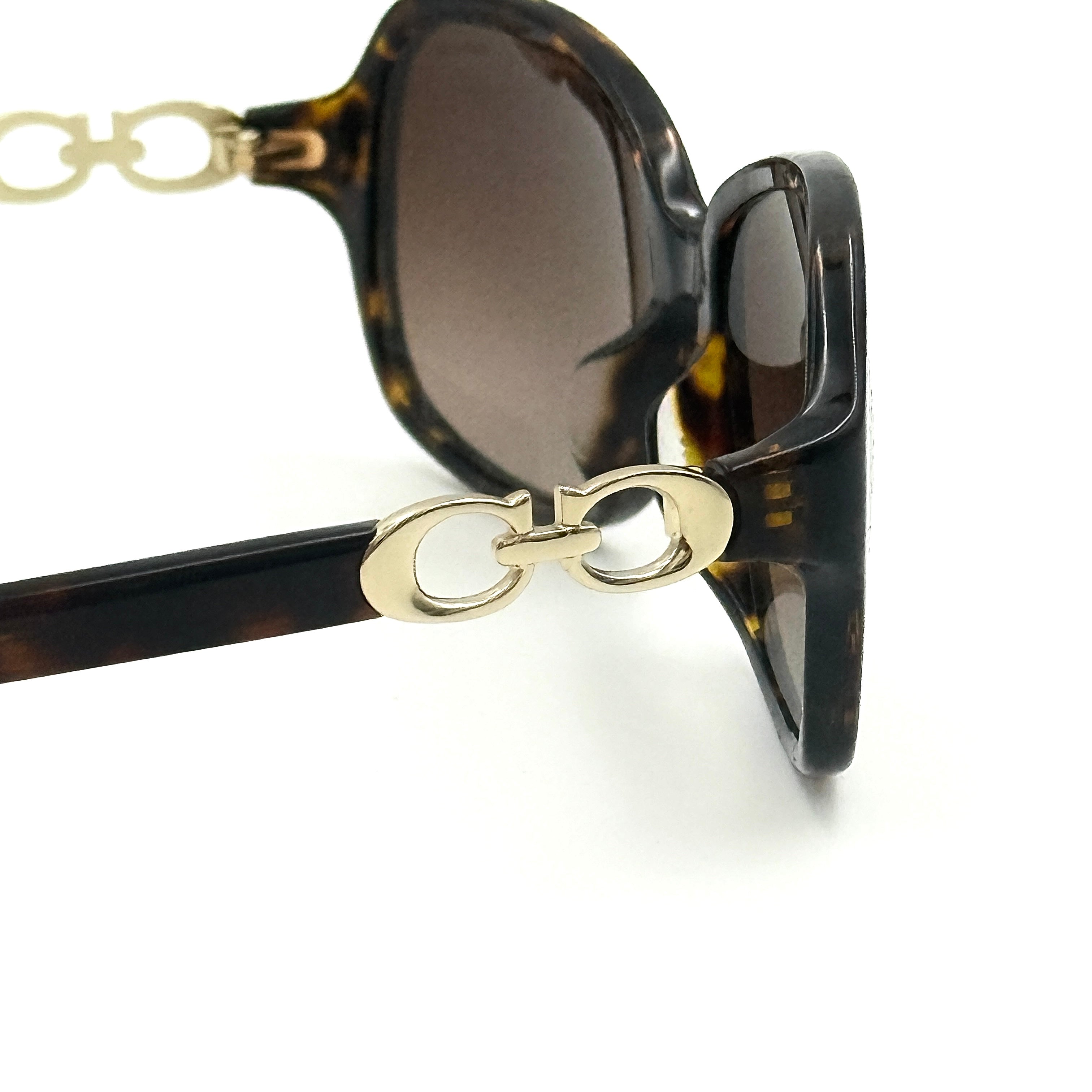 Coach HC8146F Kissing C Sunglasses Dark Tortoise