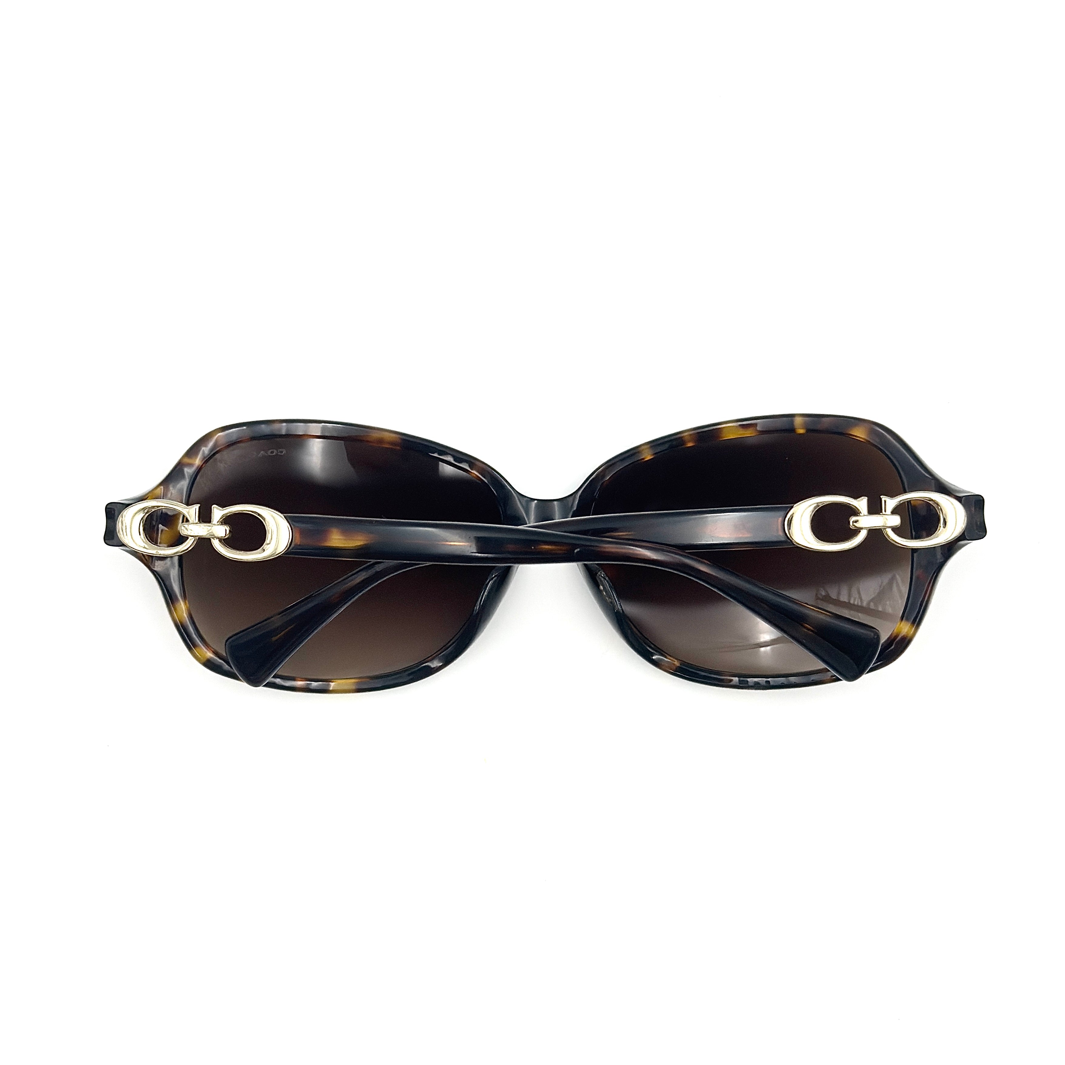 Coach HC8146F Kissing C Sunglasses Dark Tortoise