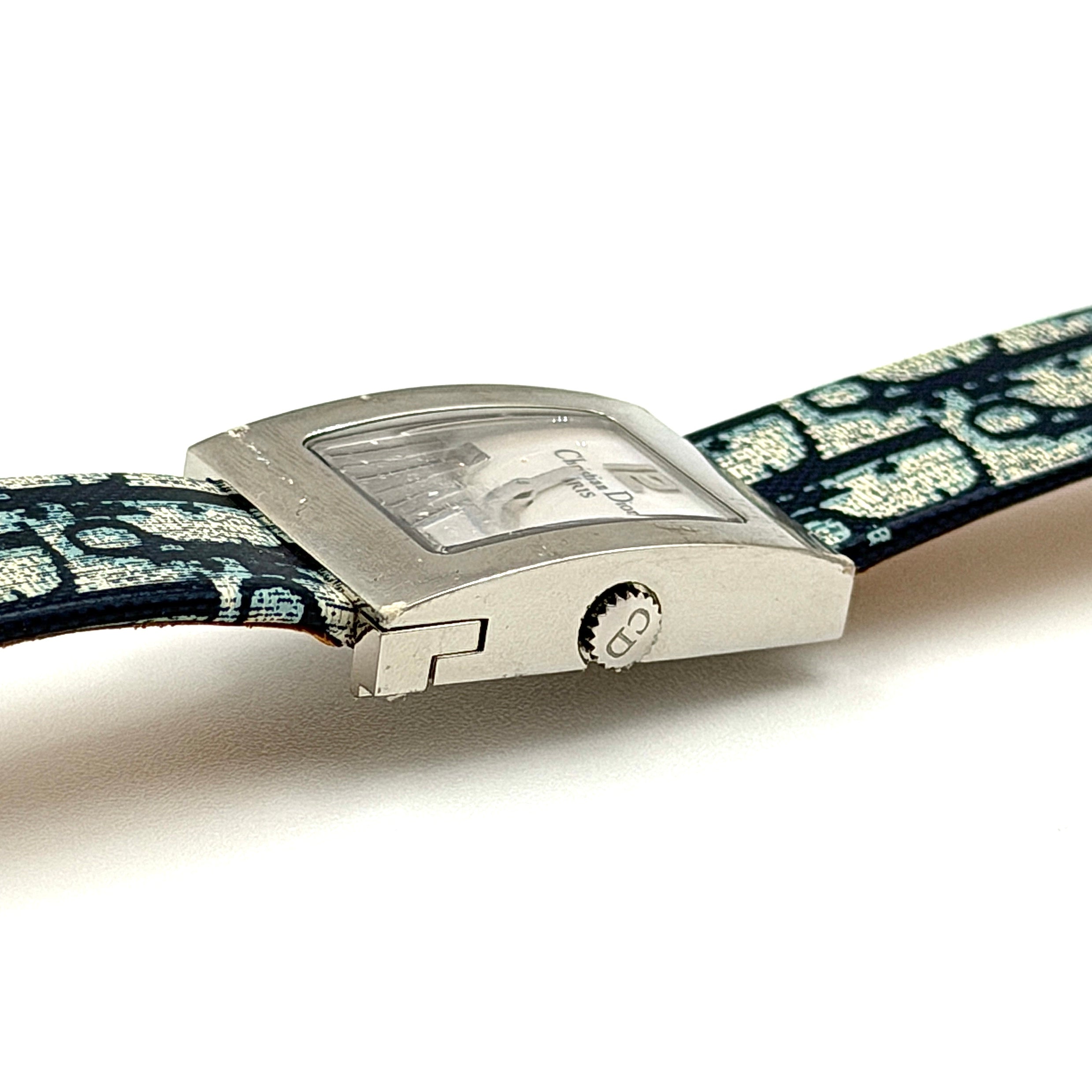 Dior Trotter Malice Watch Blue