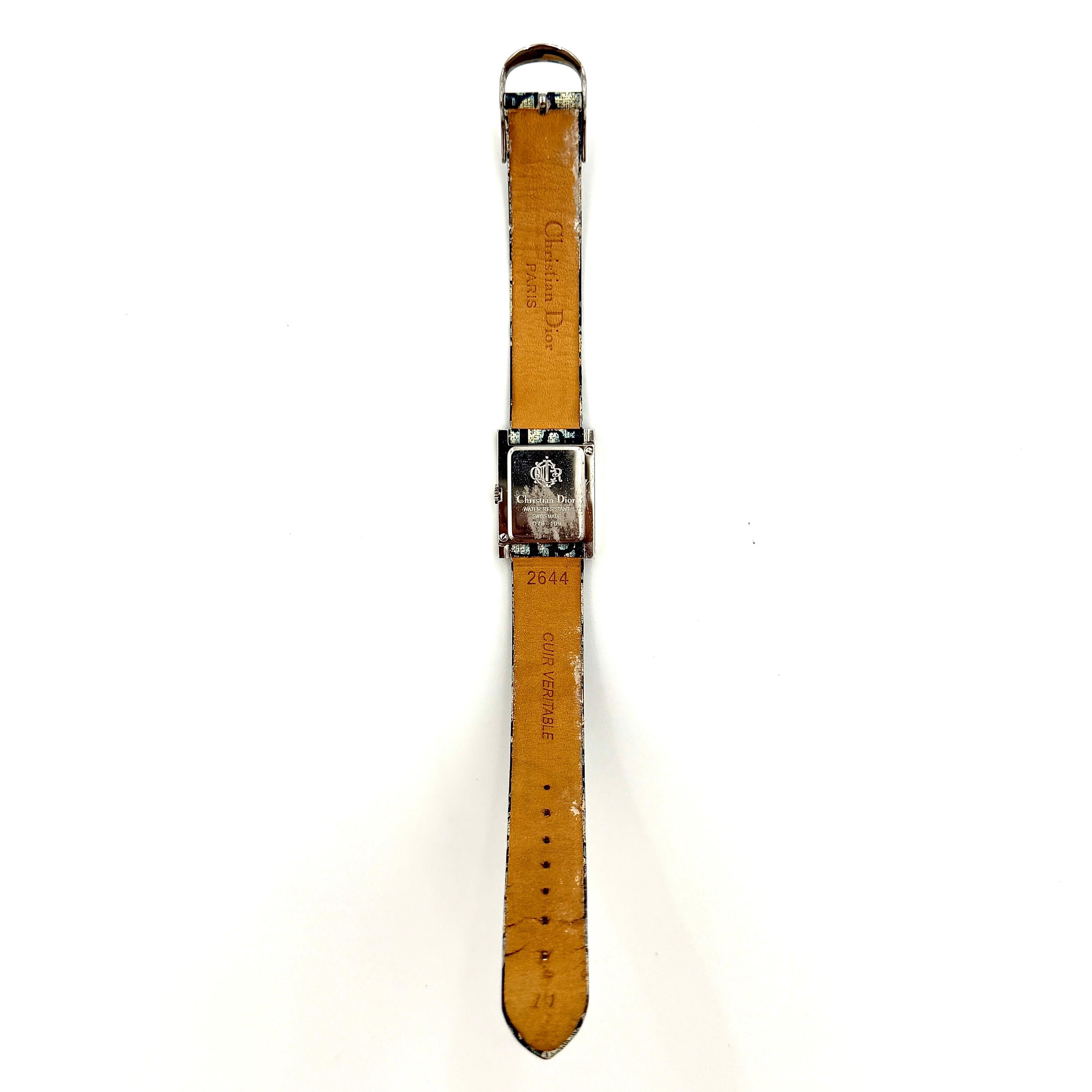 Dior Trotter Malice Watch Blue