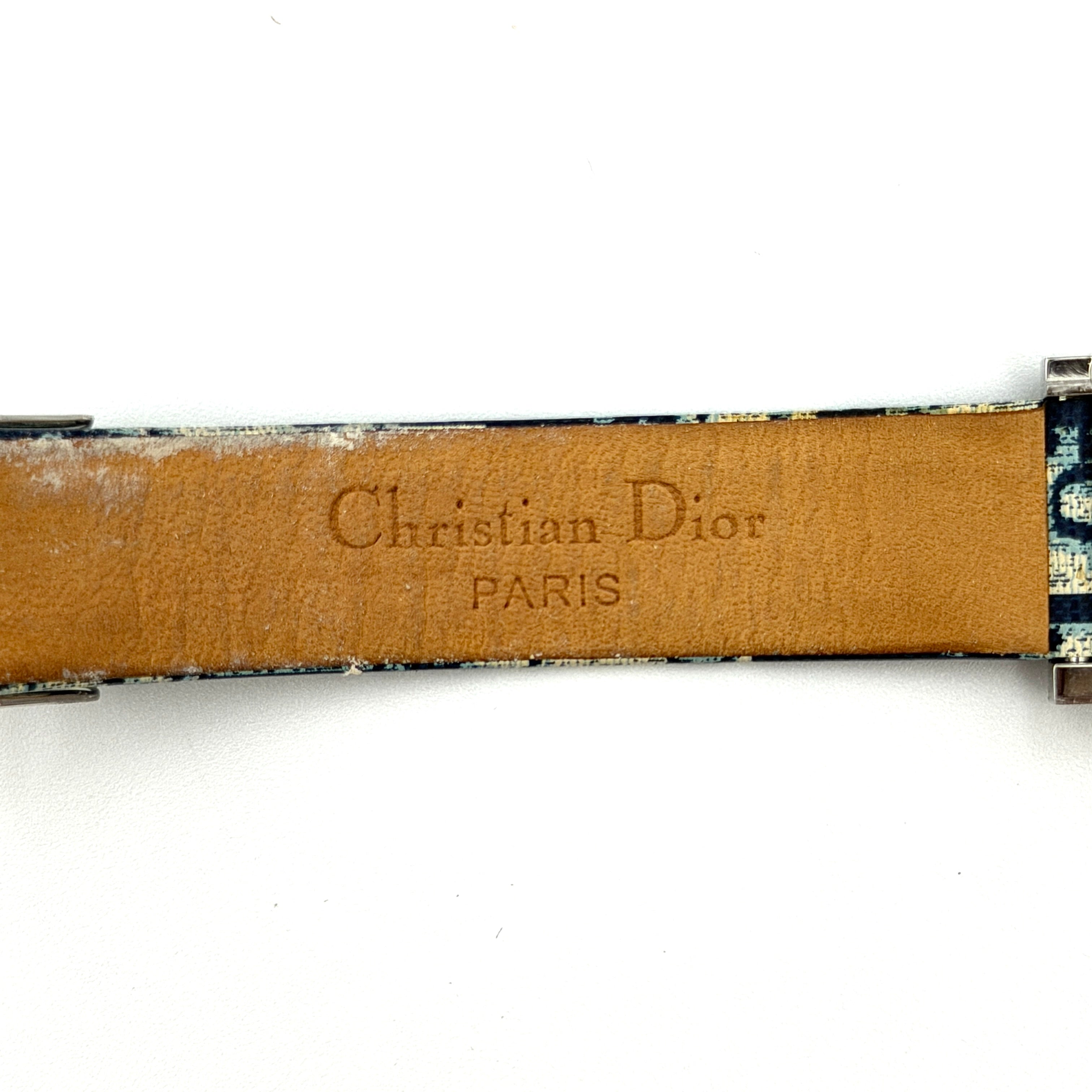 Dior Trotter Malice Watch Blue