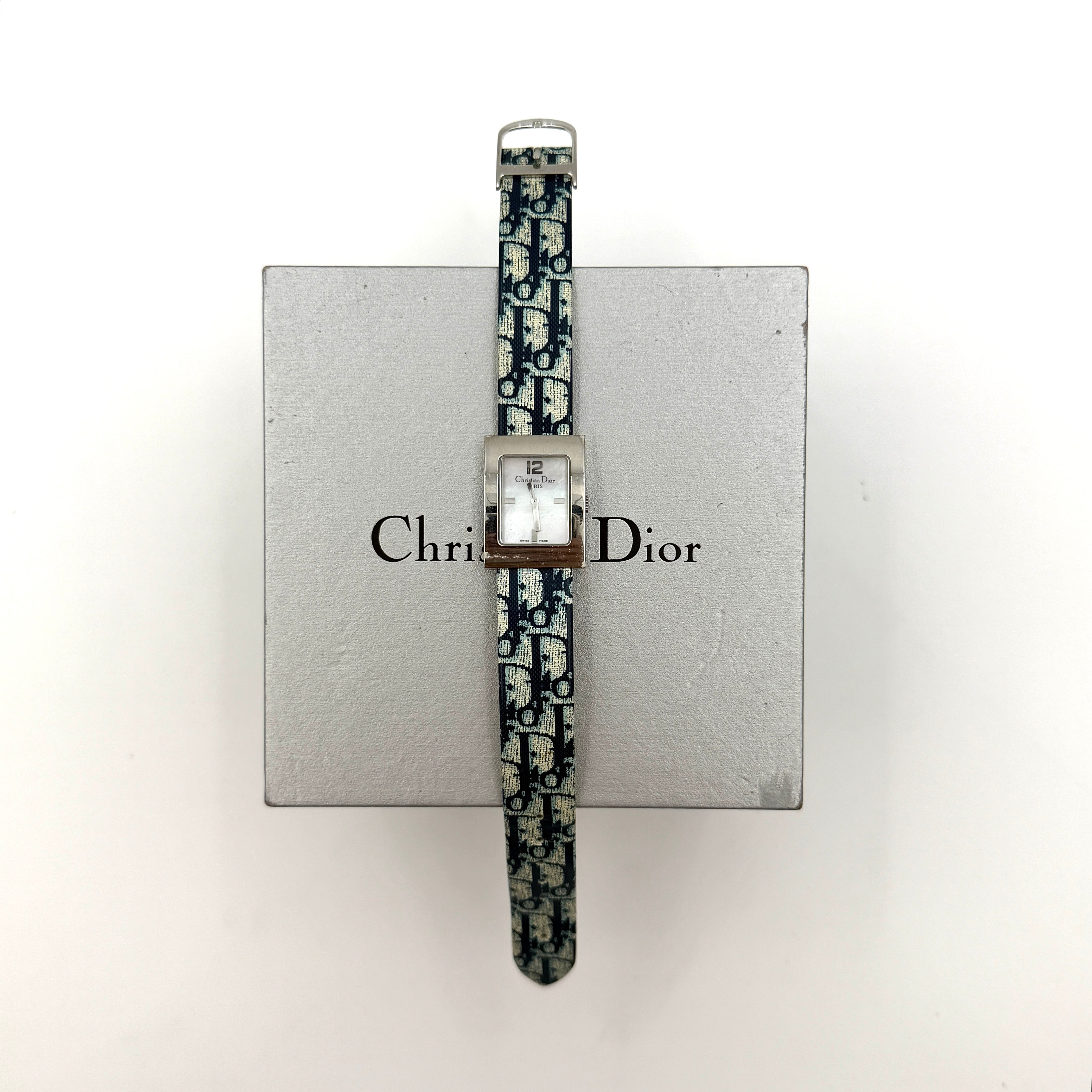 Dior Trotter Malice Watch Blue