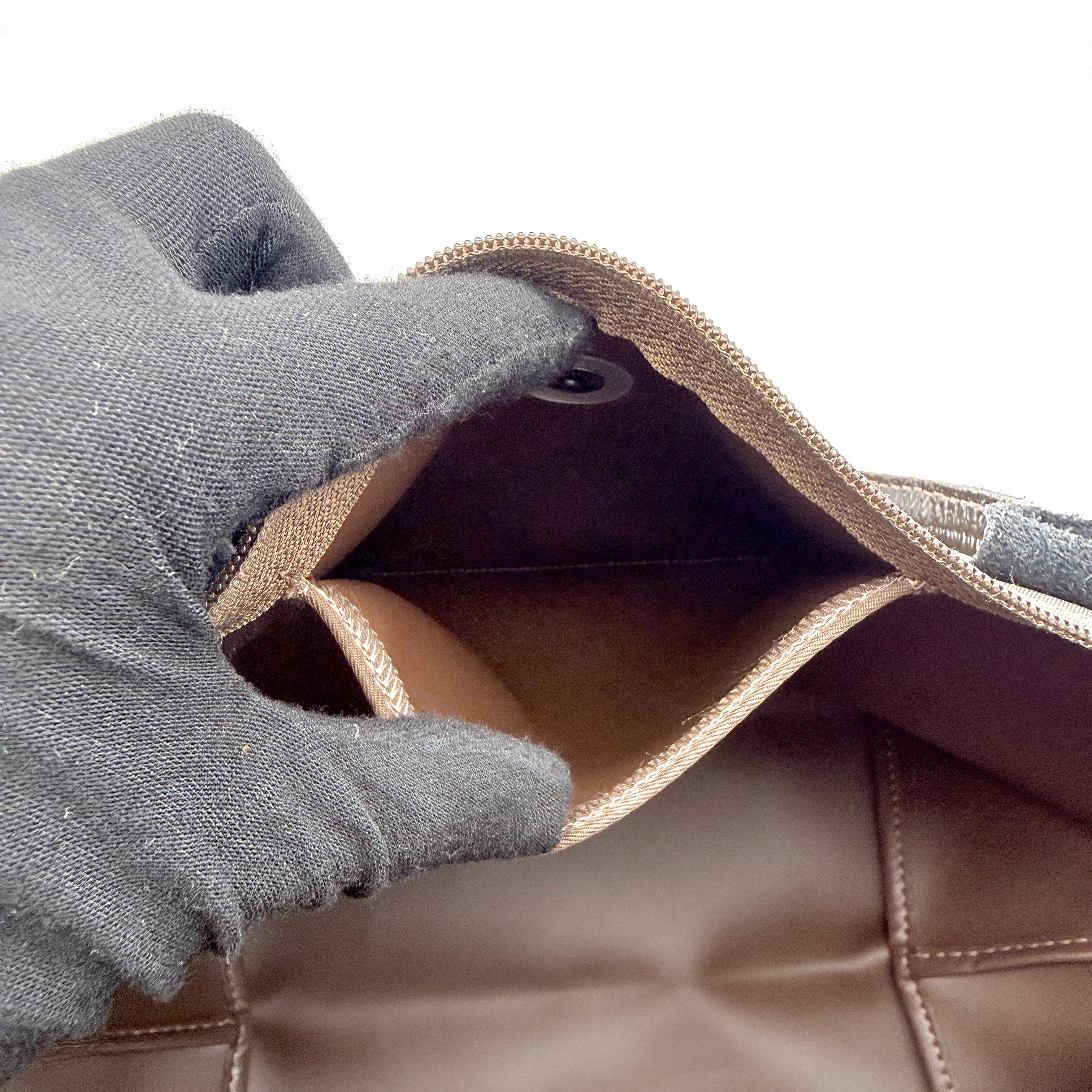 Longchamp Le Pliage Handbag Brown