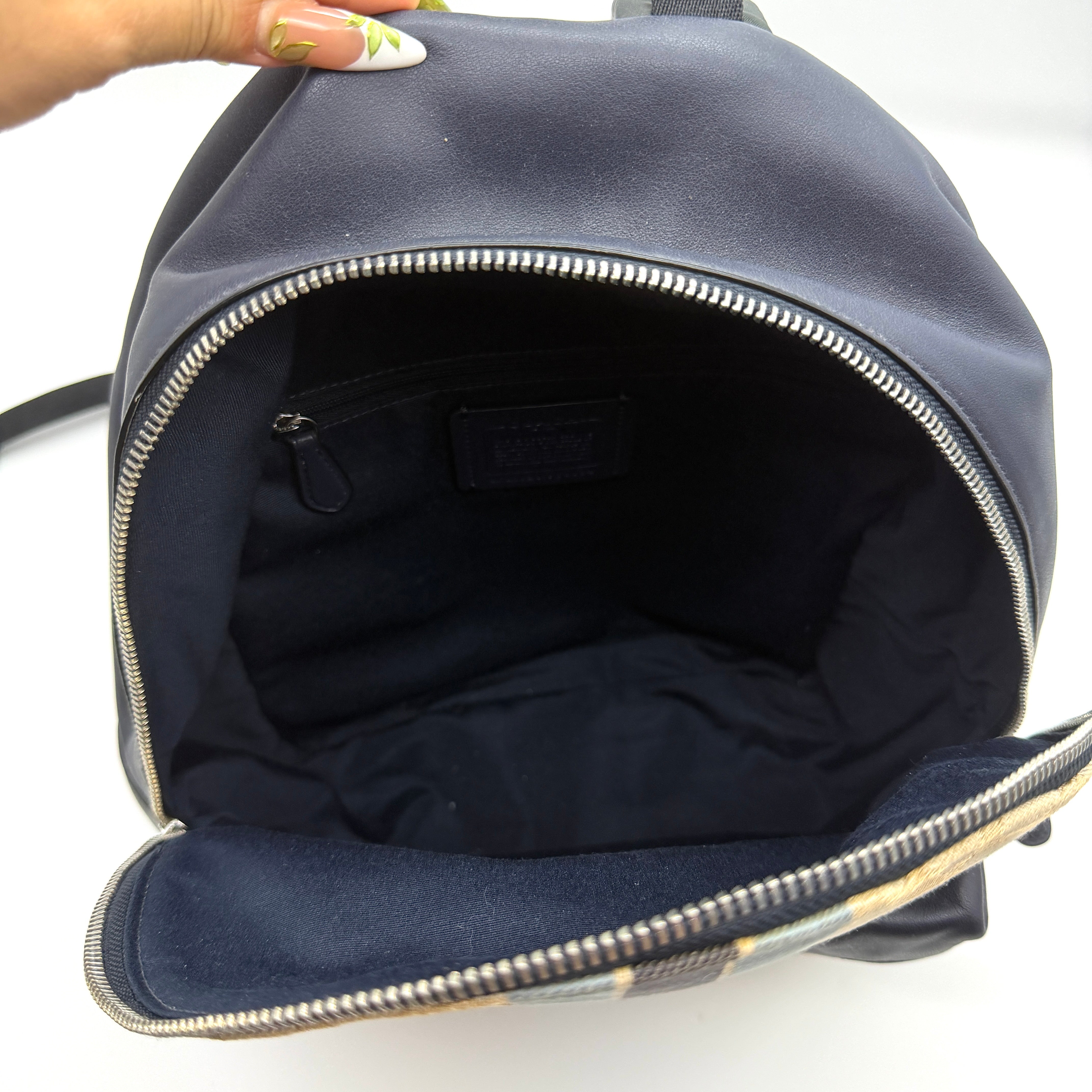 Coach Signature Charlie Stripe Backpack Beige/Navy