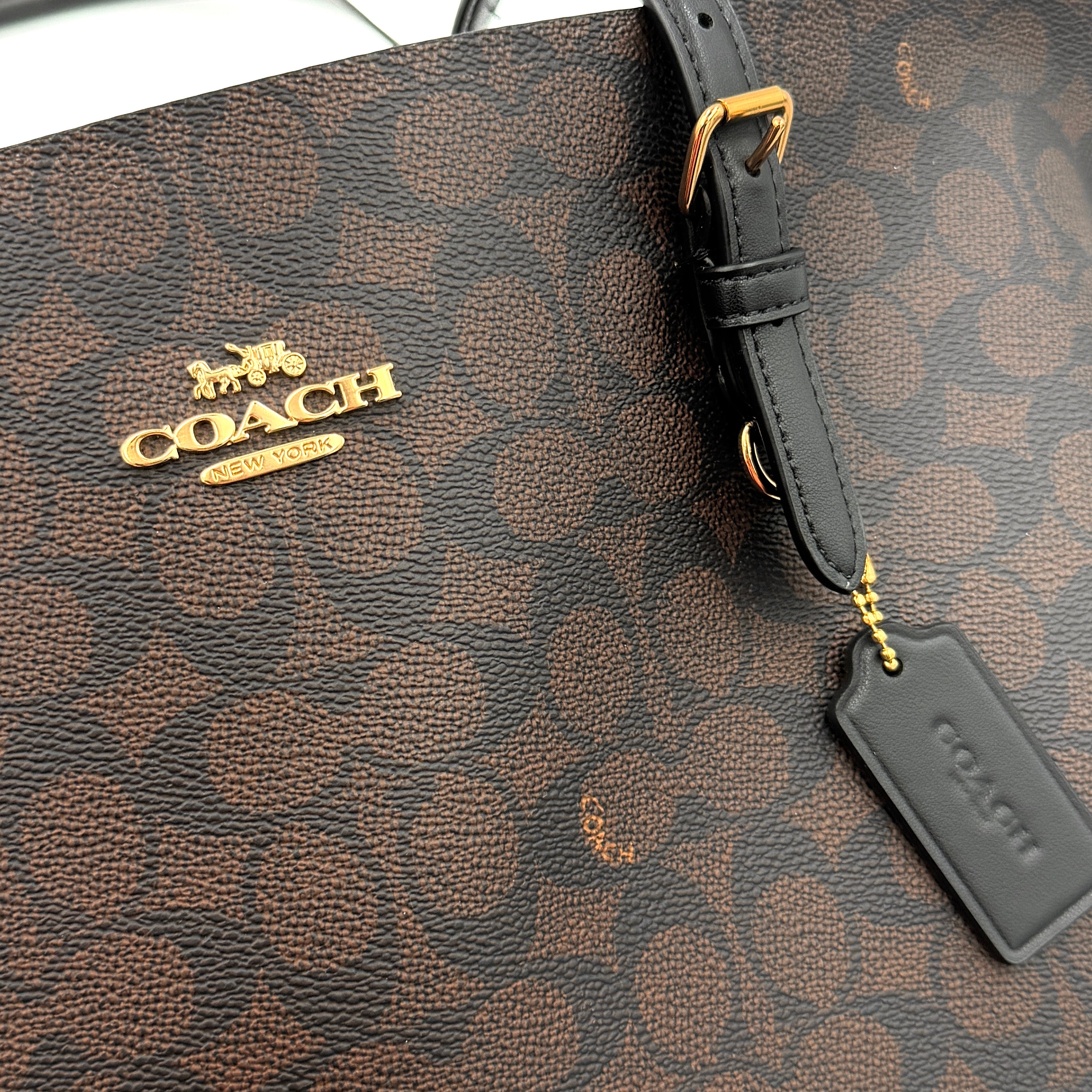 Coach Signature Mollie Tote Bag Brown