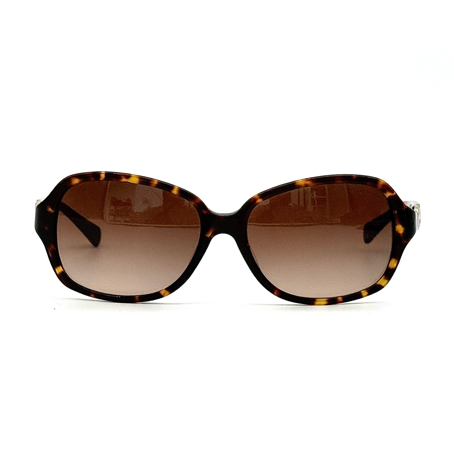 Coach HC8146F Kissing C Sunglasses Dark Tortoise