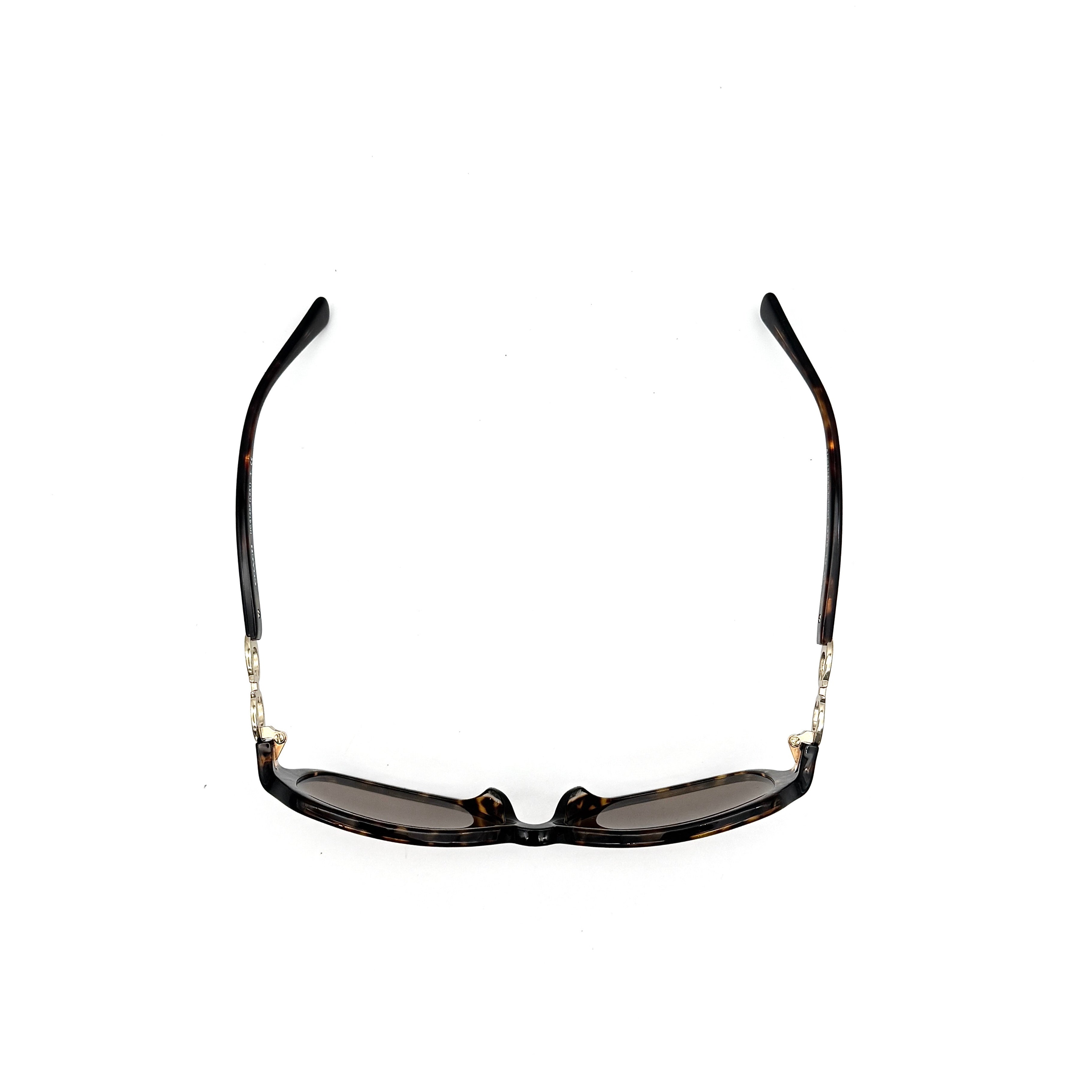Coach HC8146F Kissing C Sunglasses Dark Tortoise