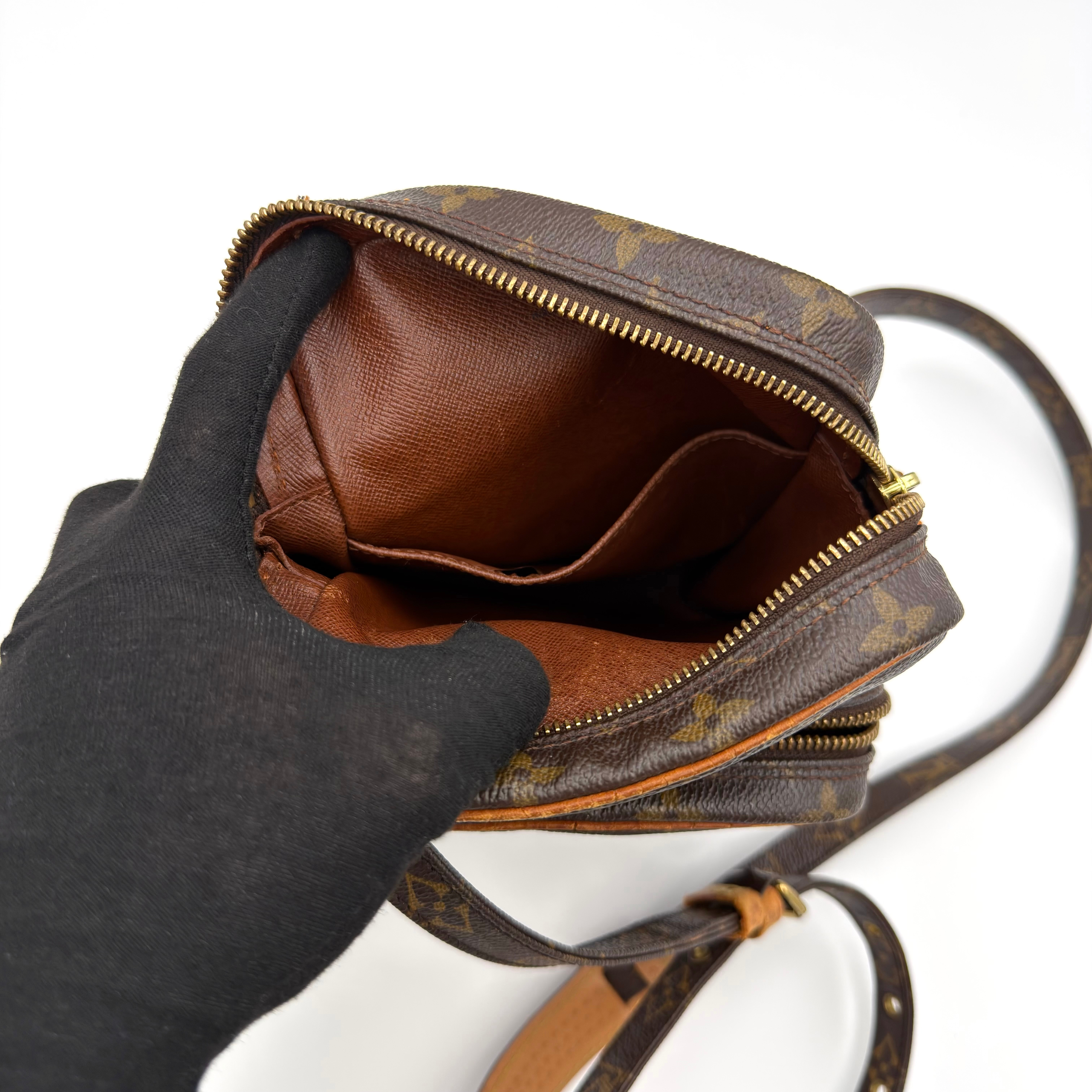 Louis Vuitton Monogram Amazon Crossbody Bag Brown